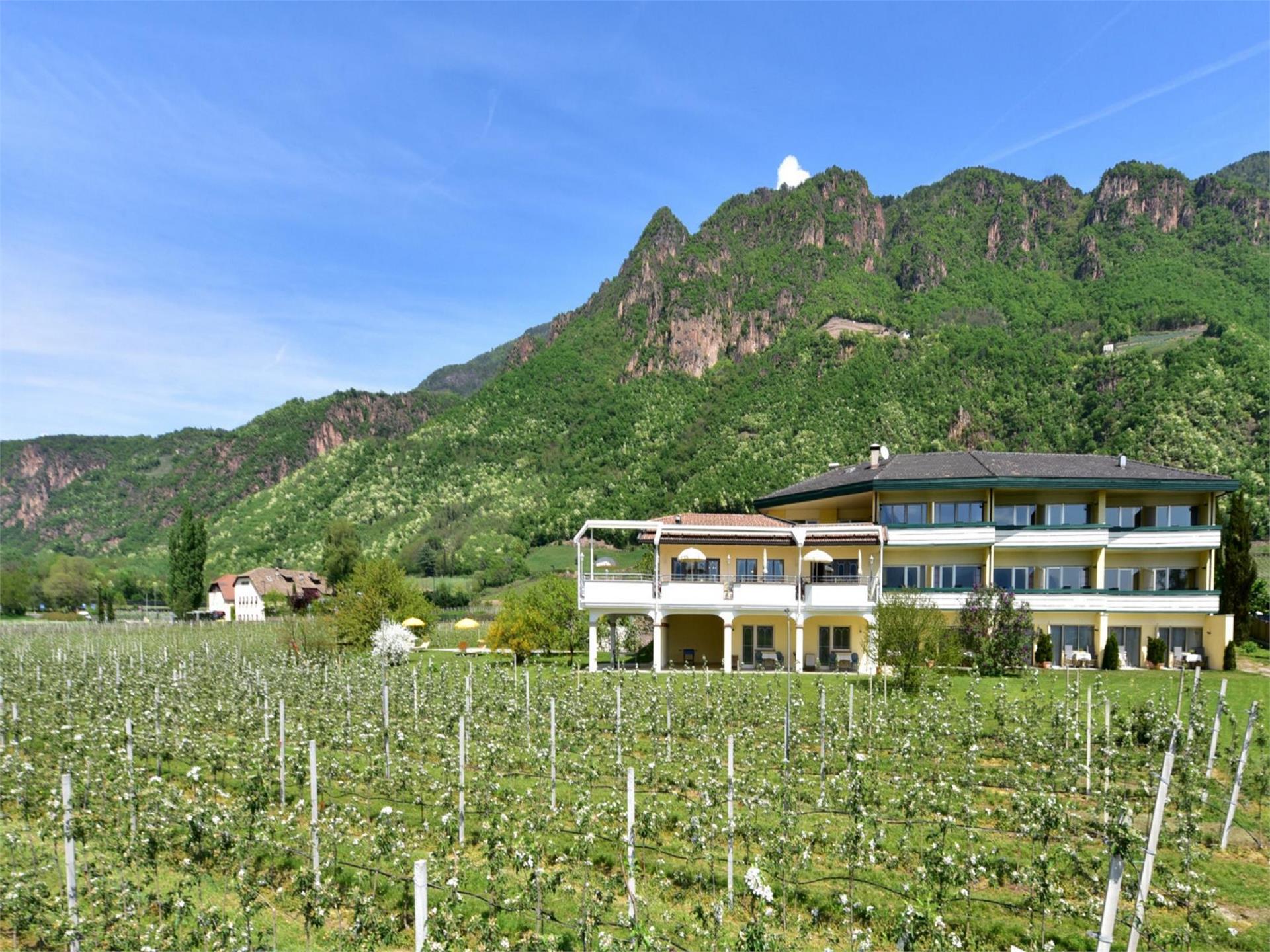 Hotel Greifenstein Terlan/Terlano 1 suedtirol.info