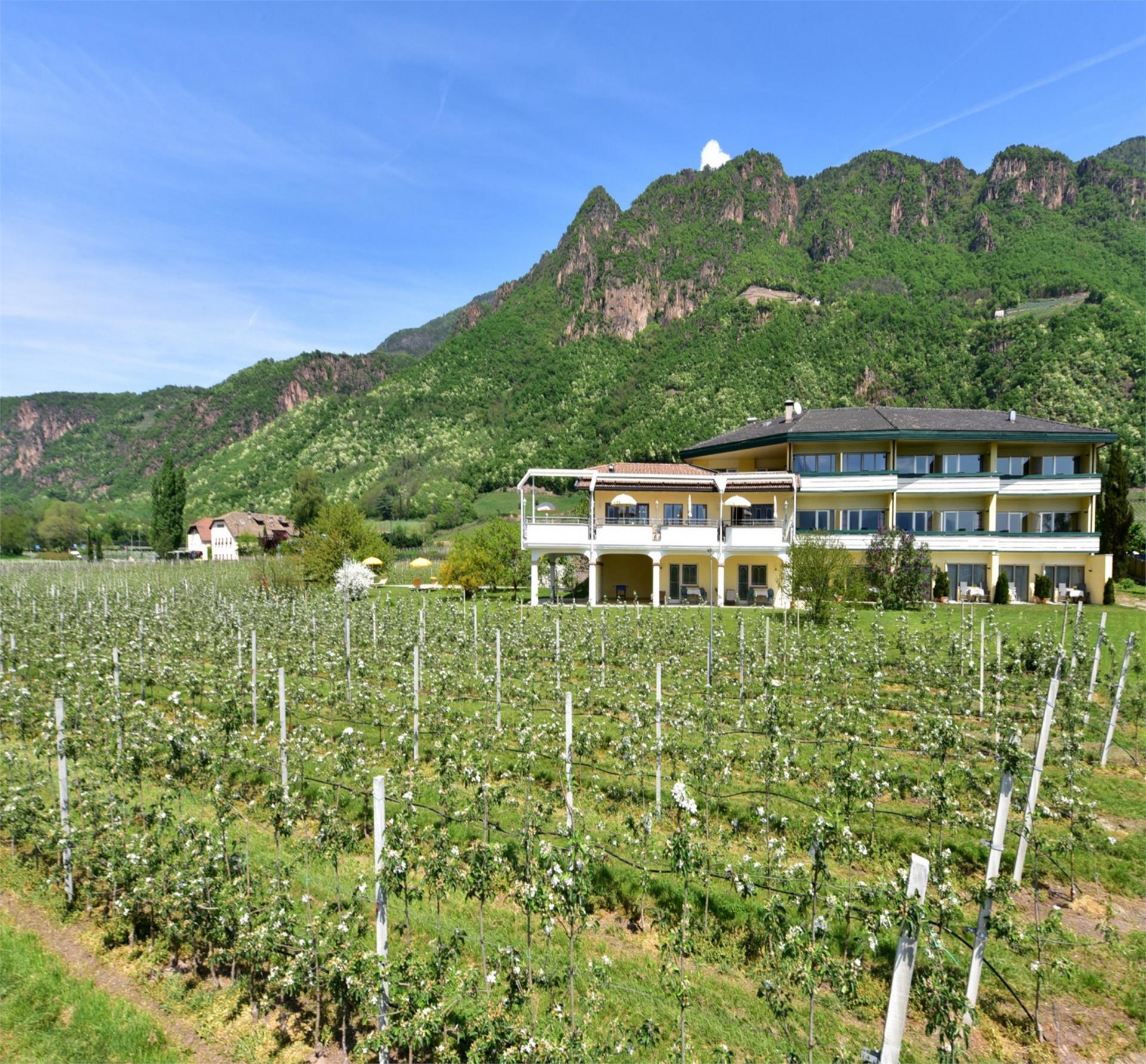 Hotel Greifenstein Terlan/Terlano 3 suedtirol.info