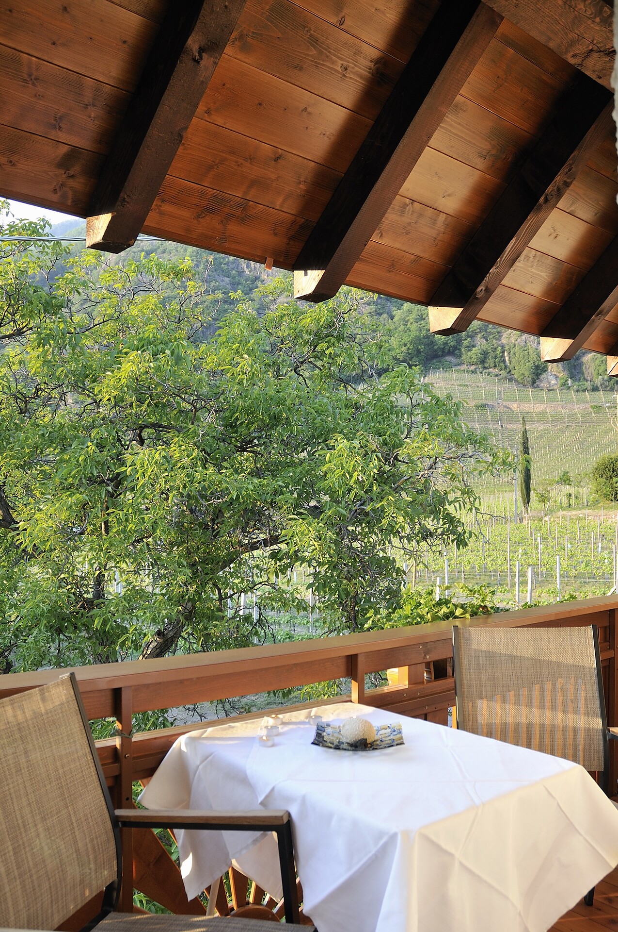 balcony with panorama