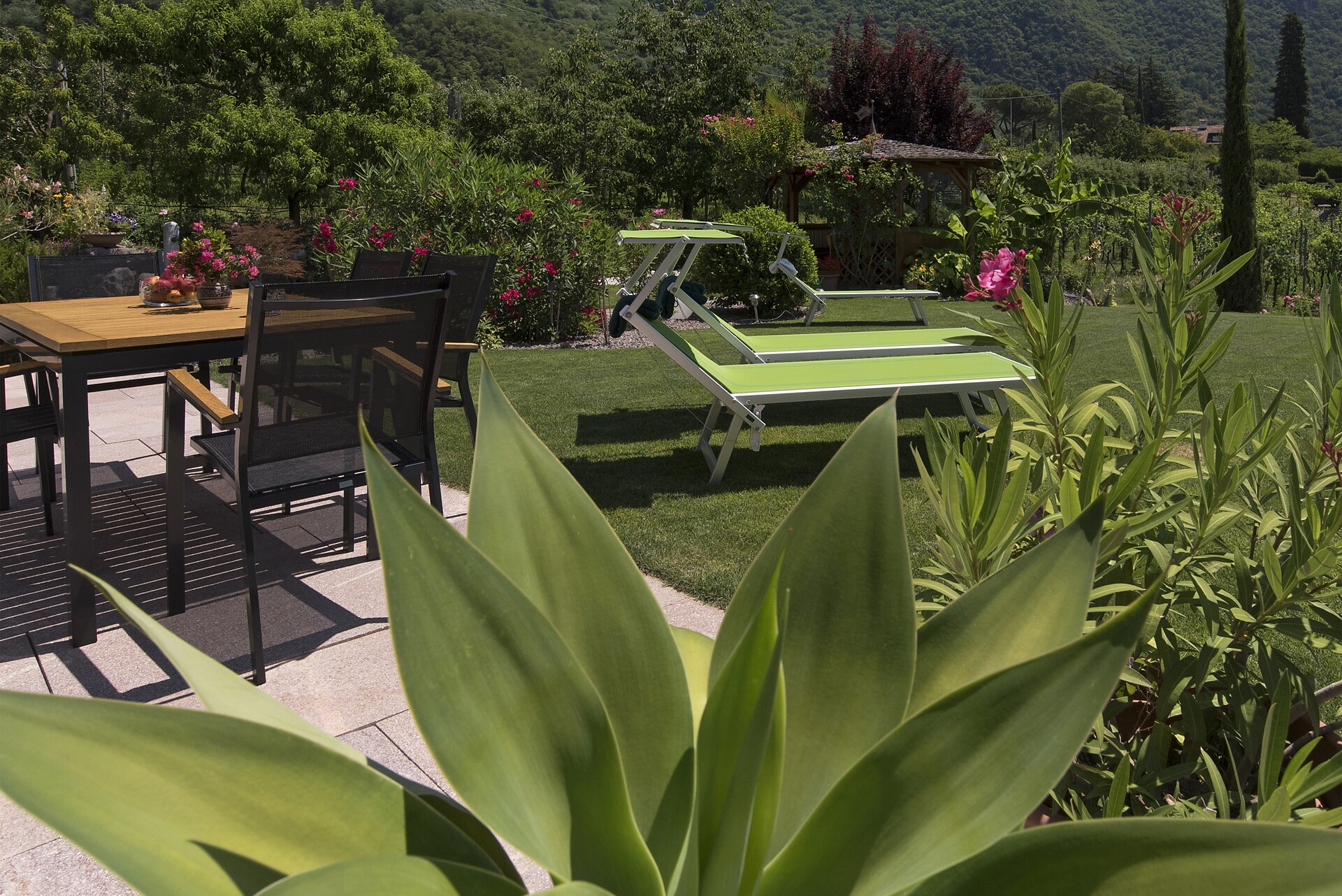 The garden in front of the house