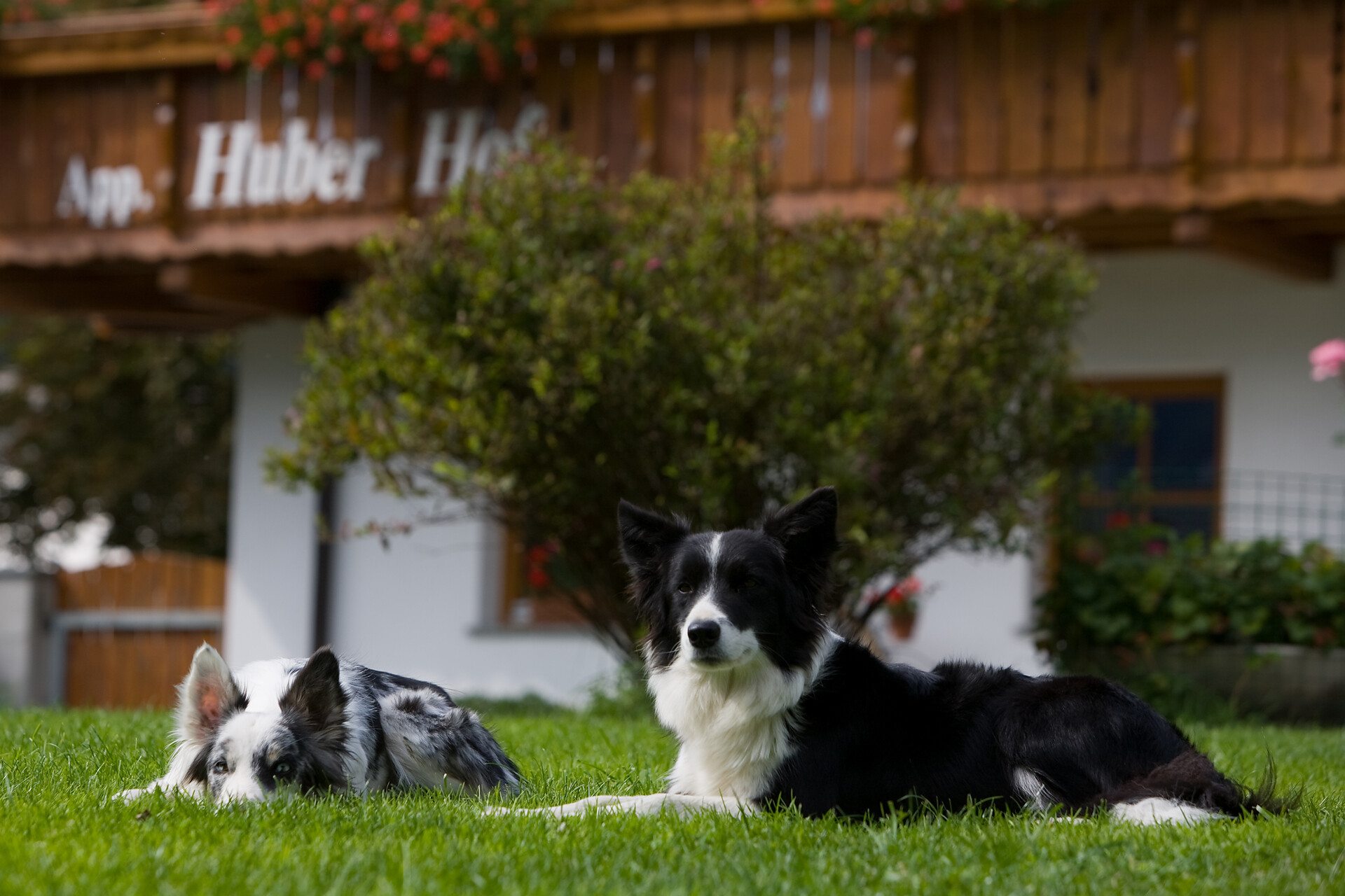 Huberhof Mühlen in Taufers Molini di Tures