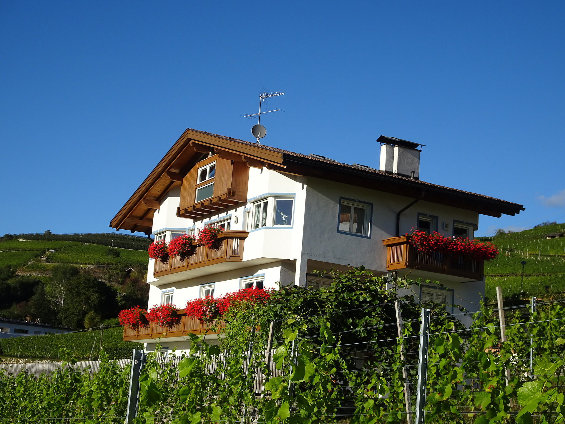 Casa Winkler