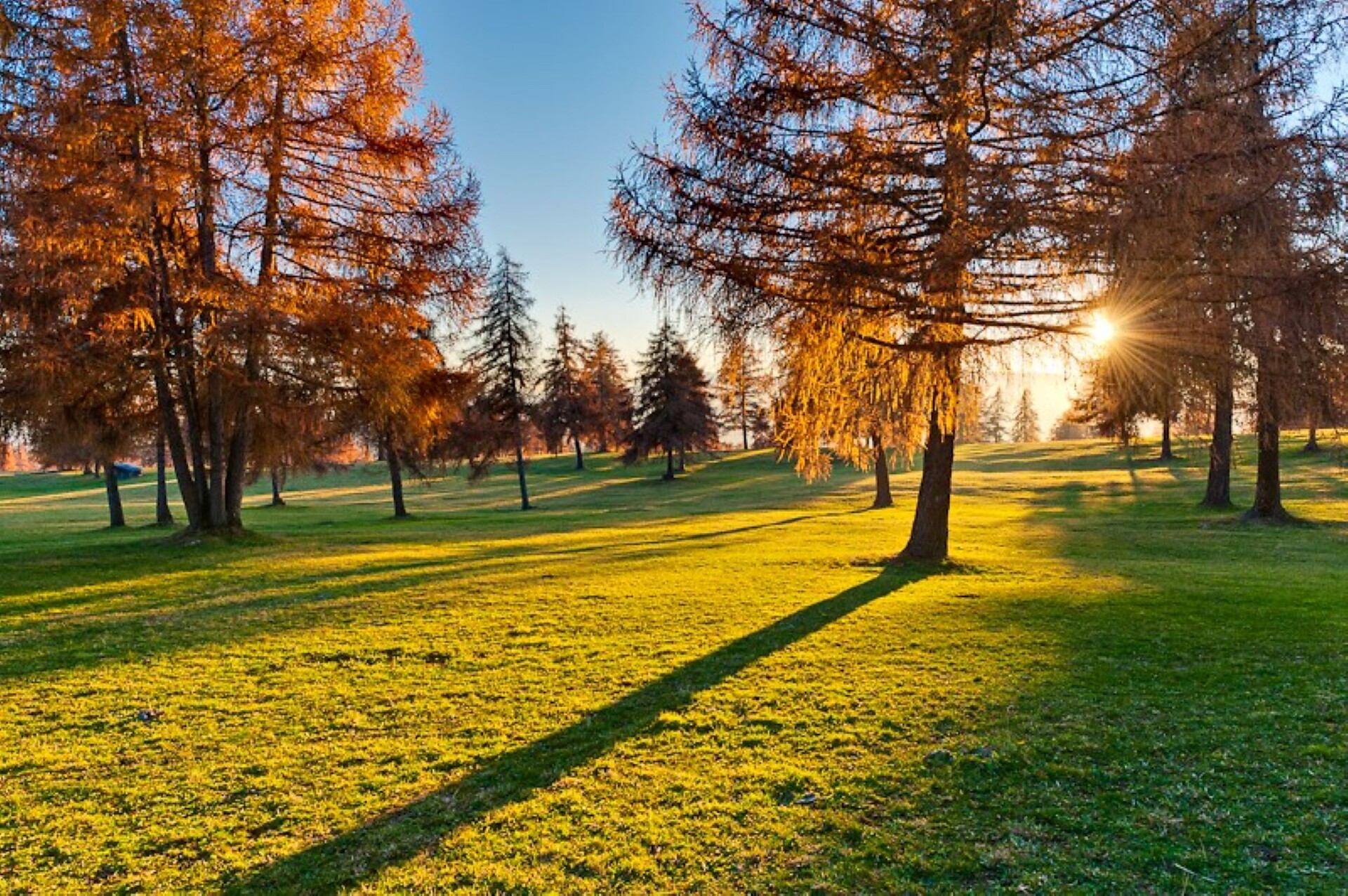 autumn