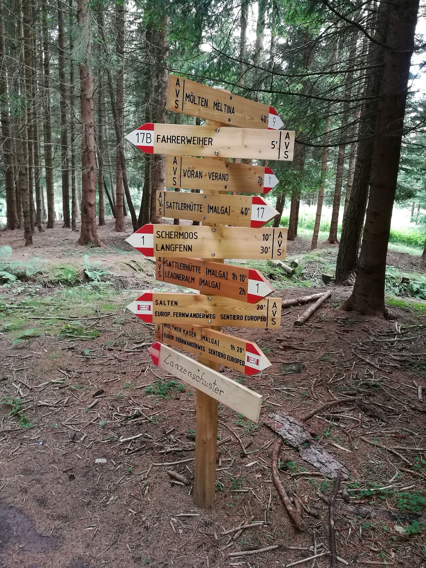 hiking in Meltina