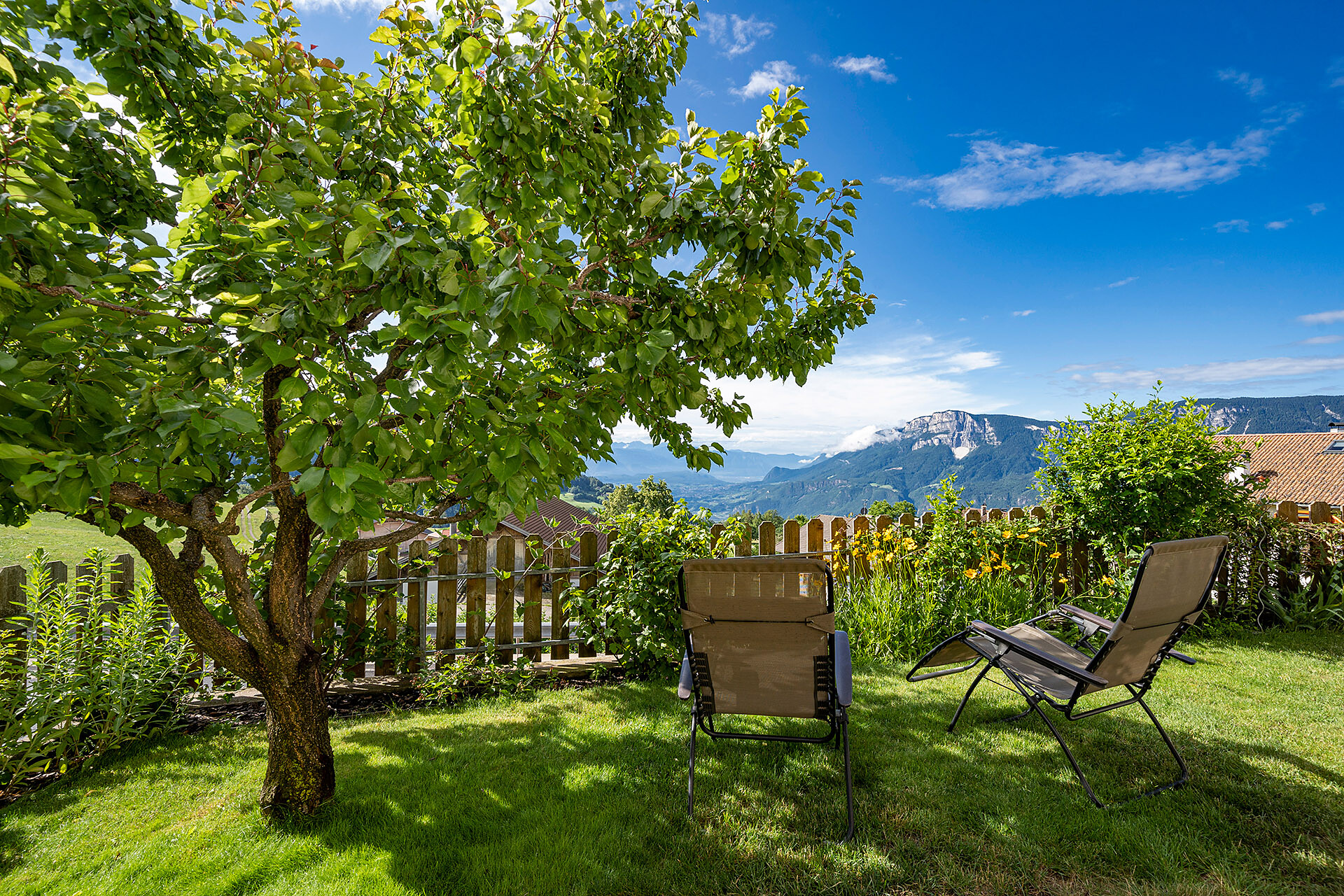 free time in the garden