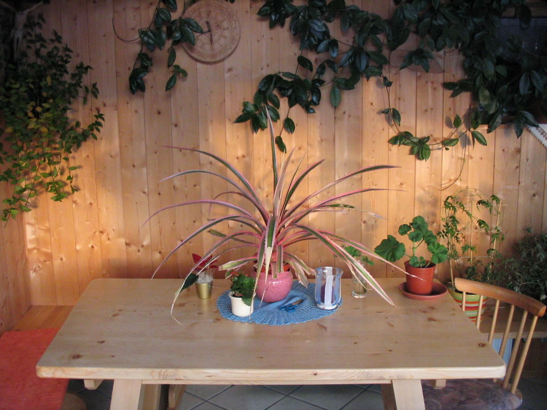 Winter garden