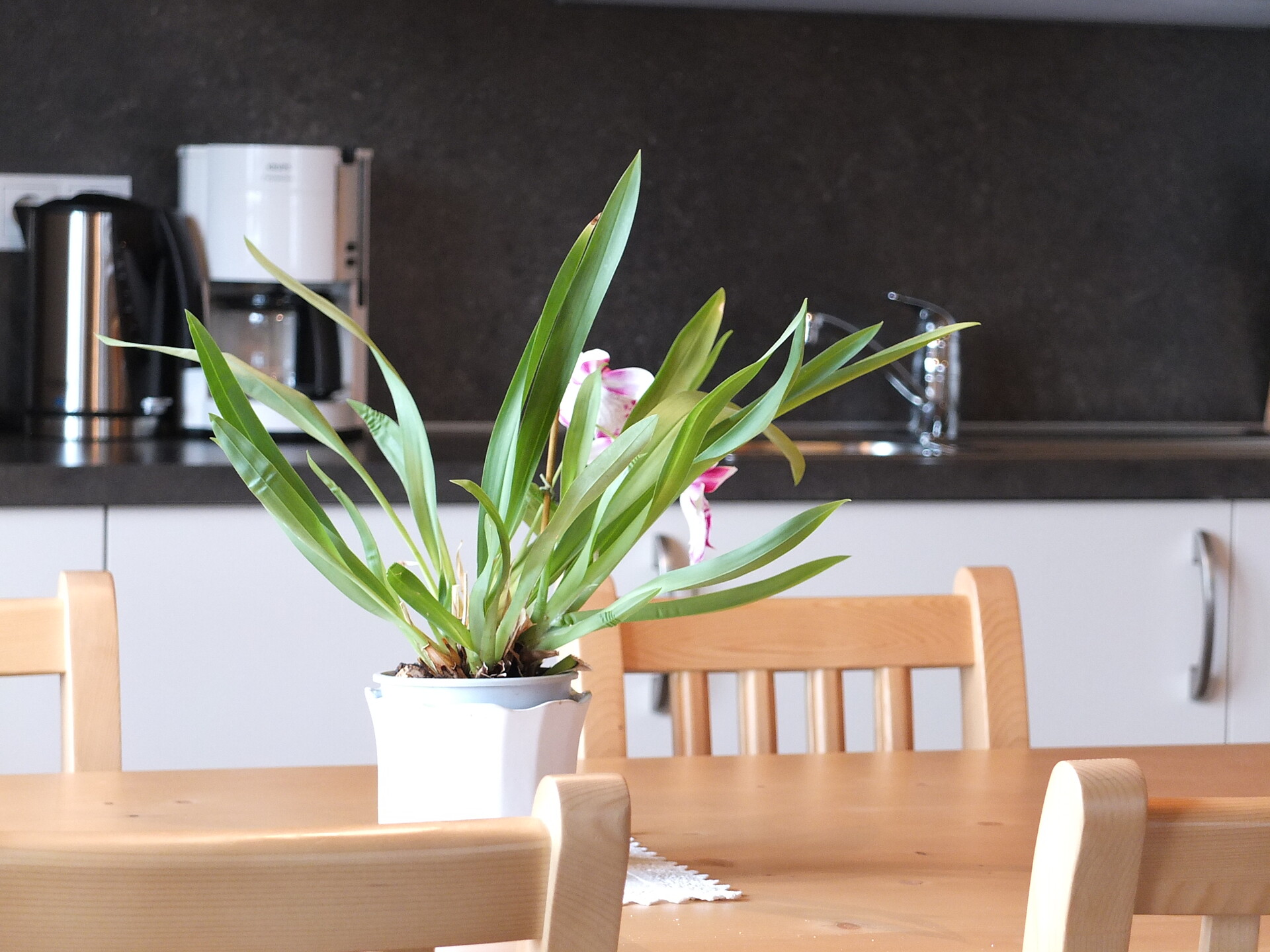 Küche Appartement "Schlern"