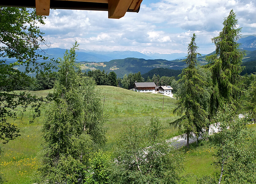 Panorama