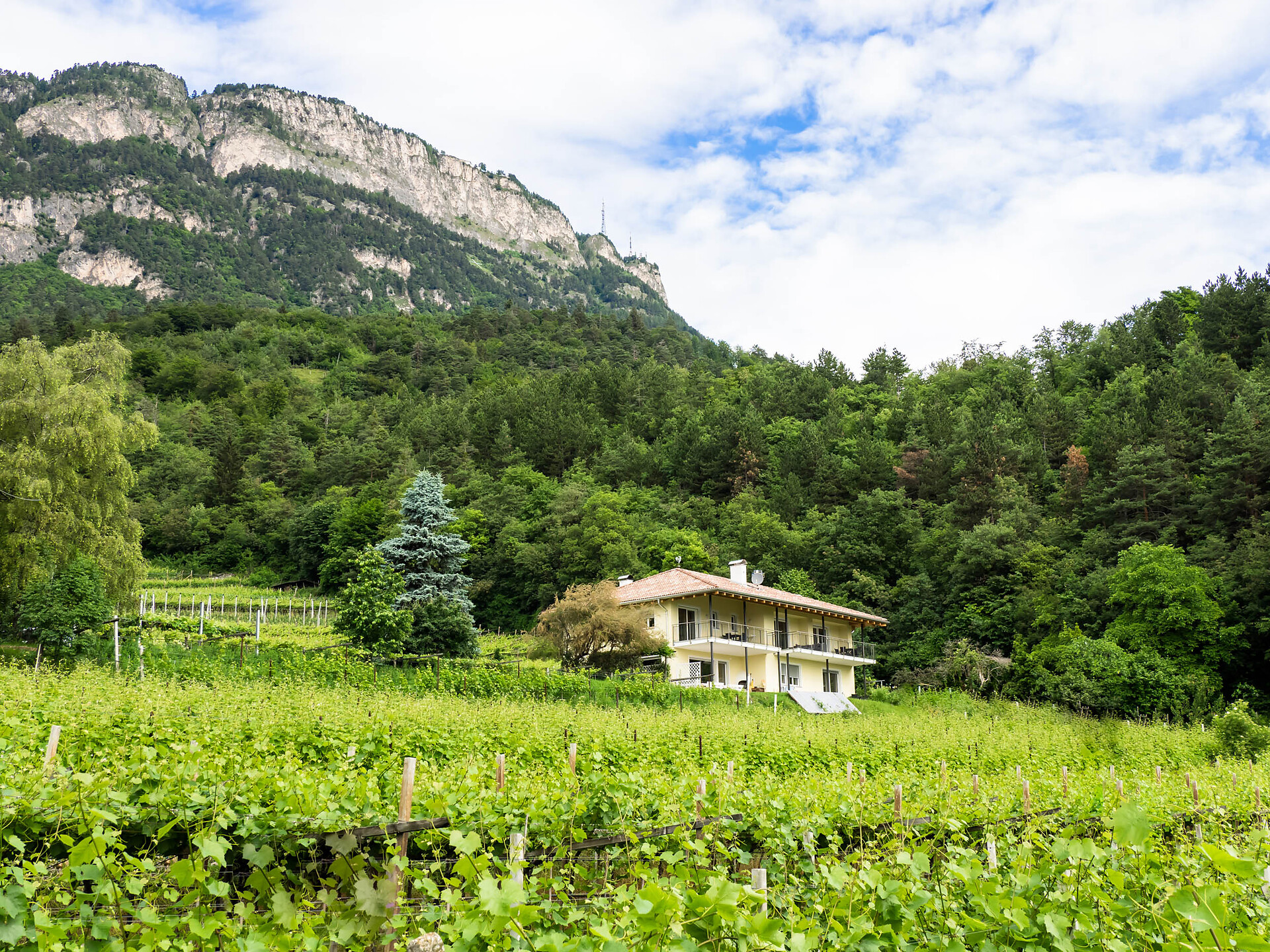 Haus Marlene Kaltern an der Weinstraße 2 suedtirol.info