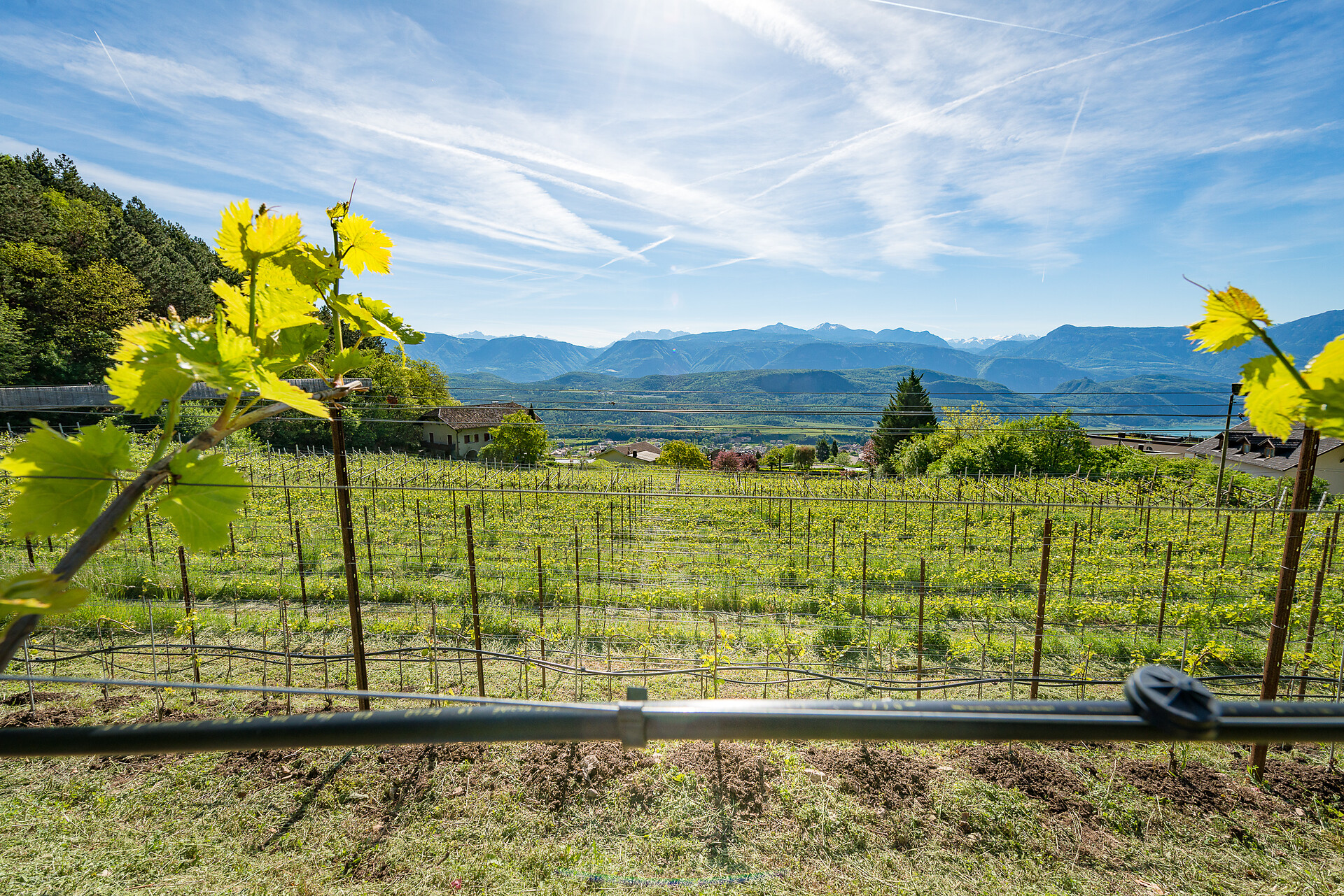 Haus Marlene Kaltern an der Weinstraße 19 suedtirol.info