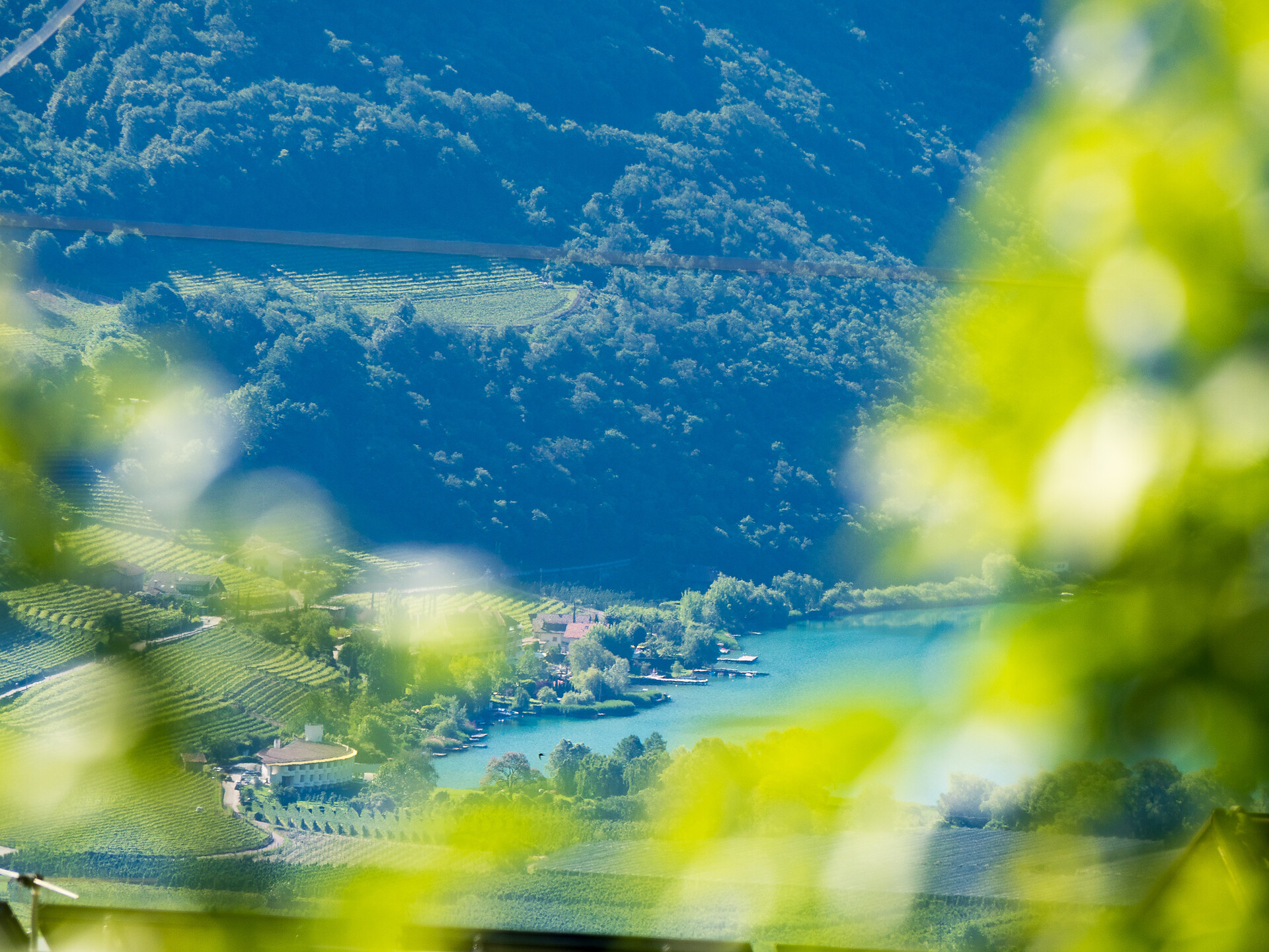 Haus Marlene Kaltern an der Weinstraße 9 suedtirol.info