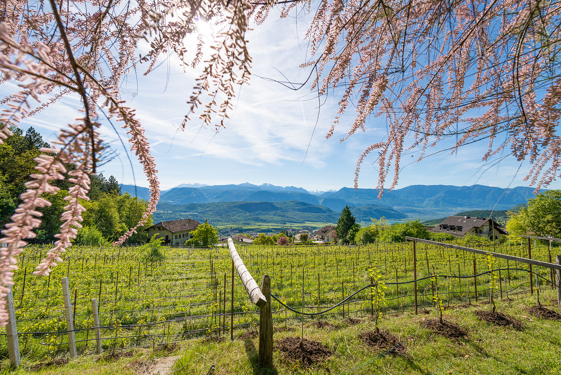 Haus Marlene Kaltern an der Weinstraße 17 suedtirol.info