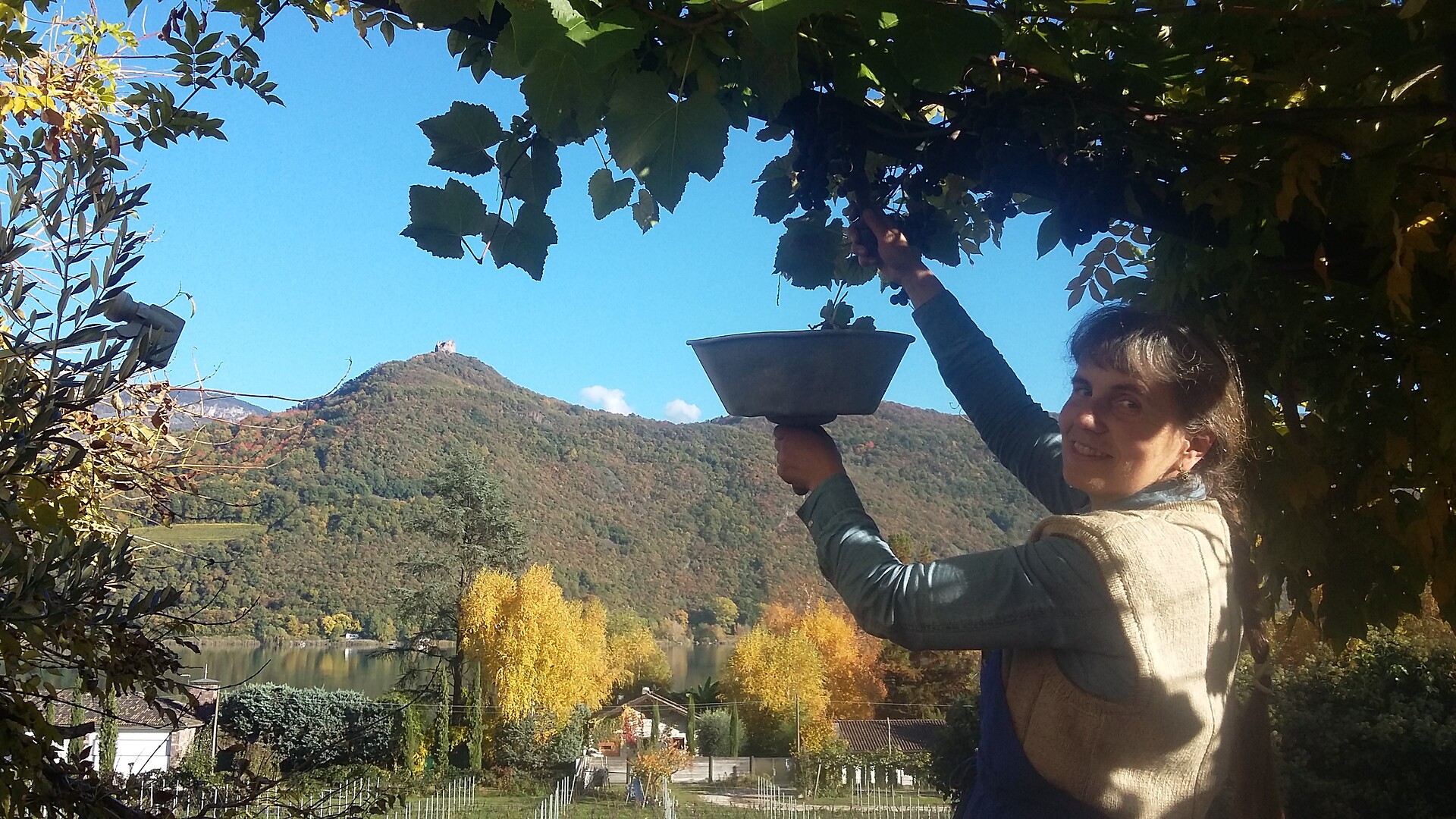 la contadina Reinhild alla vendemmia