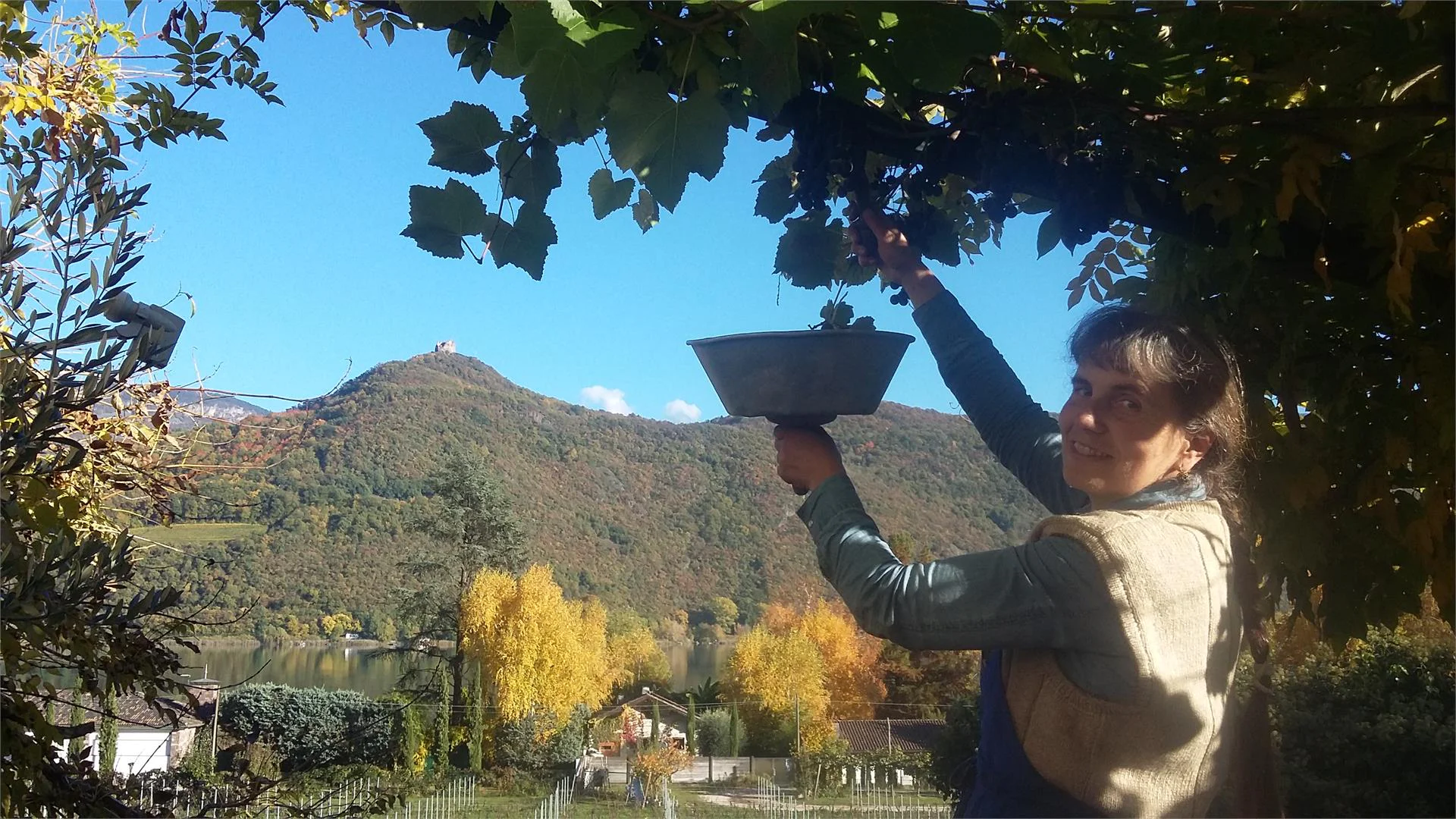 Haus zur Traube Caldaro sulla Strada del Vino 7 suedtirol.info