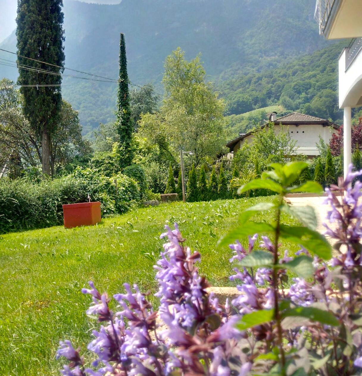 Garten