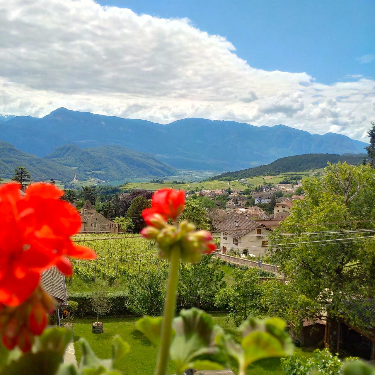 view from the balcony