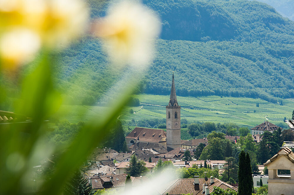 dalla nostra terrazza
