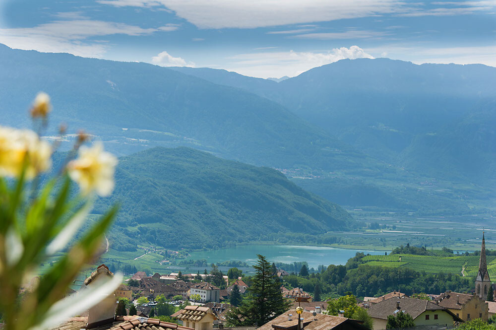la vista
