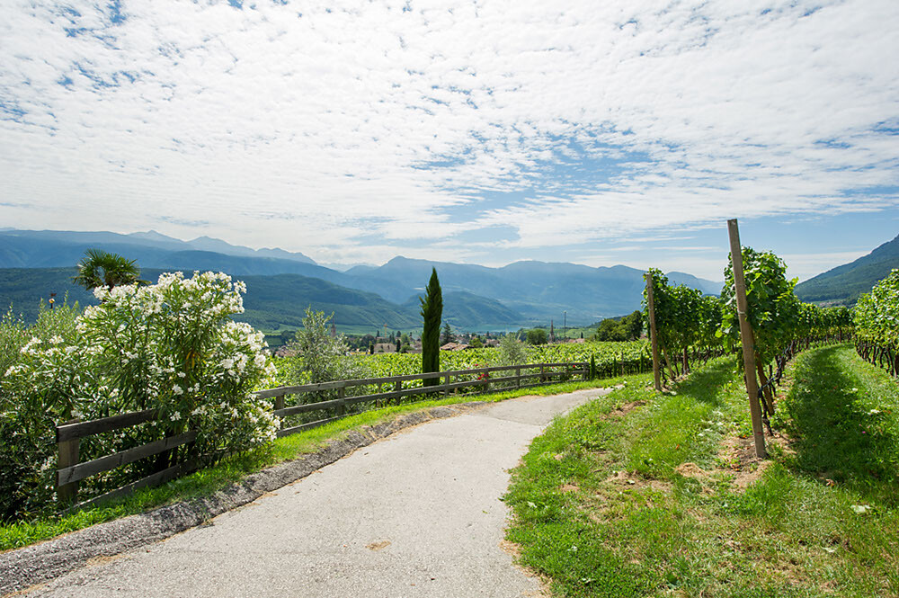 la nostra vista