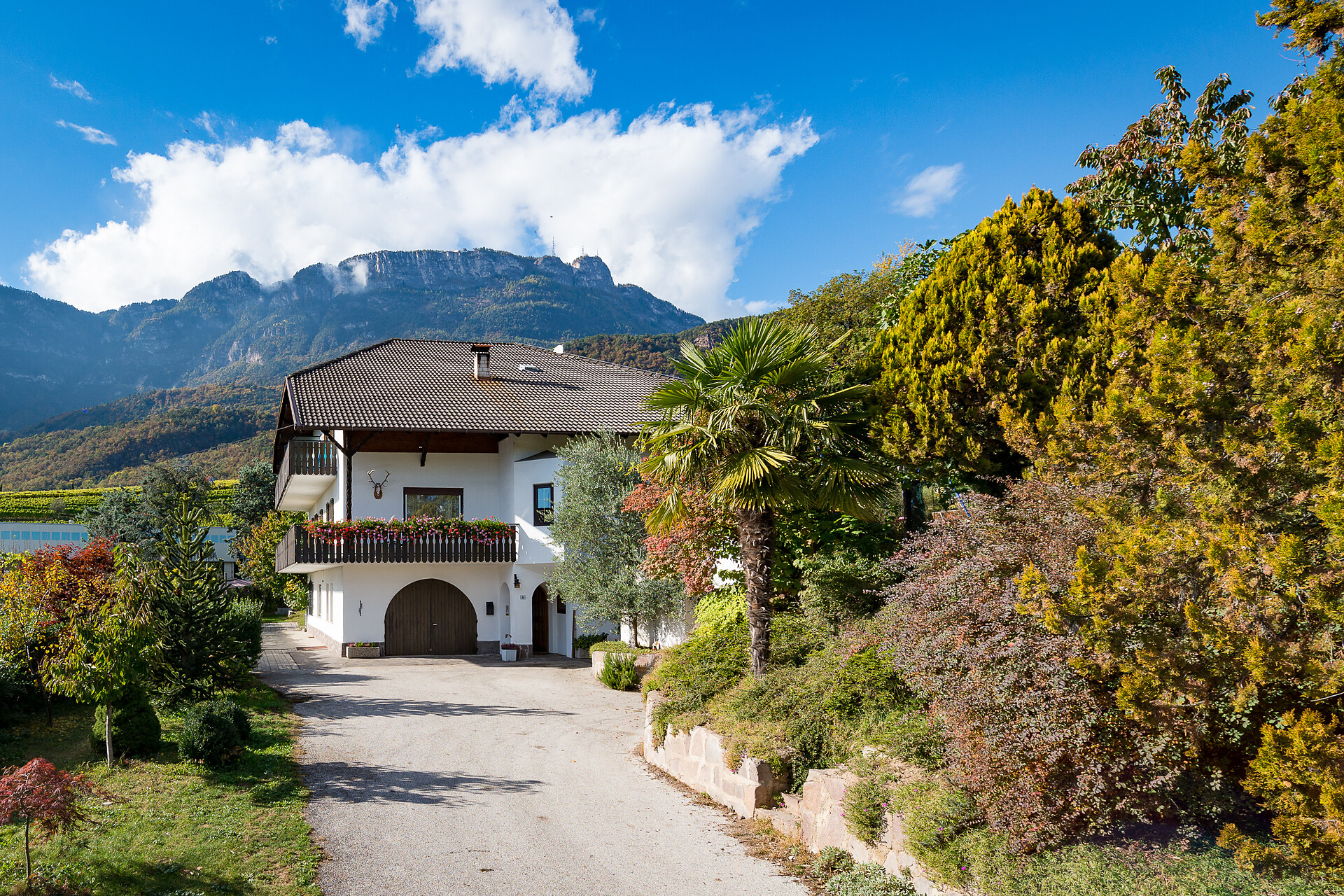 Haus Luggin_Caldaro/Kaltern
