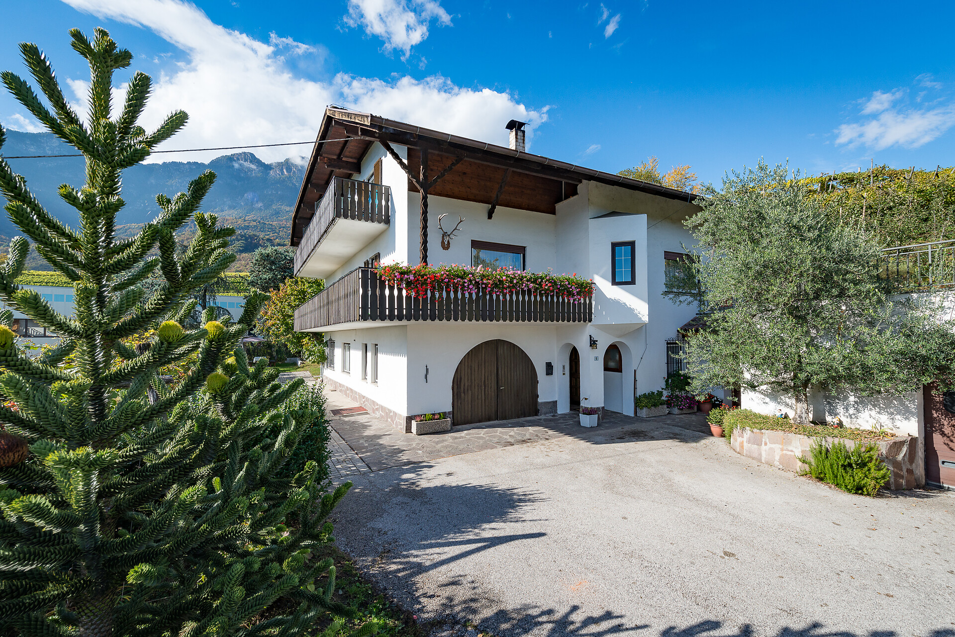 Haus Luggin_Caldaro/Kaltern
