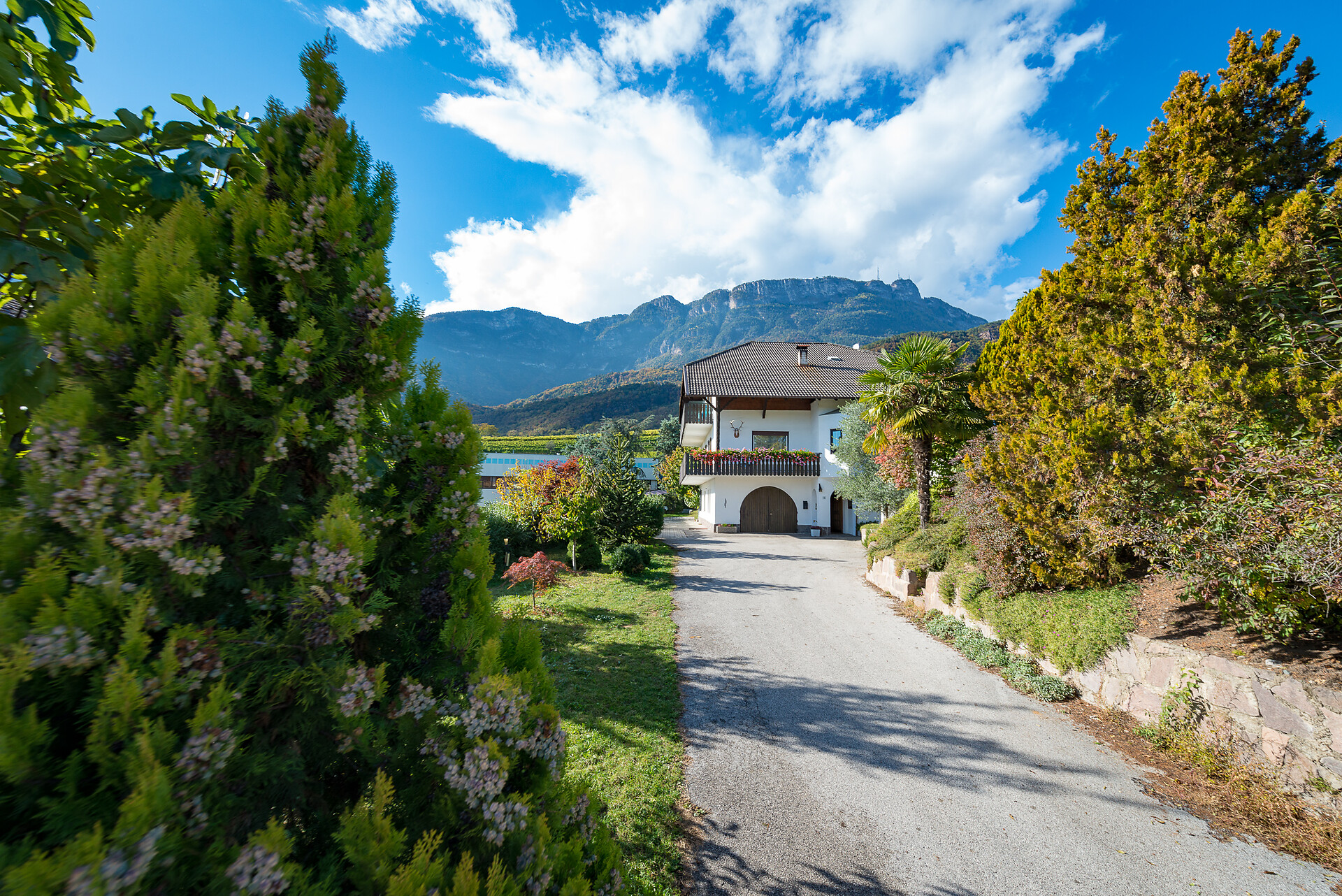 Haus Luggin_Caldaro/Kaltern