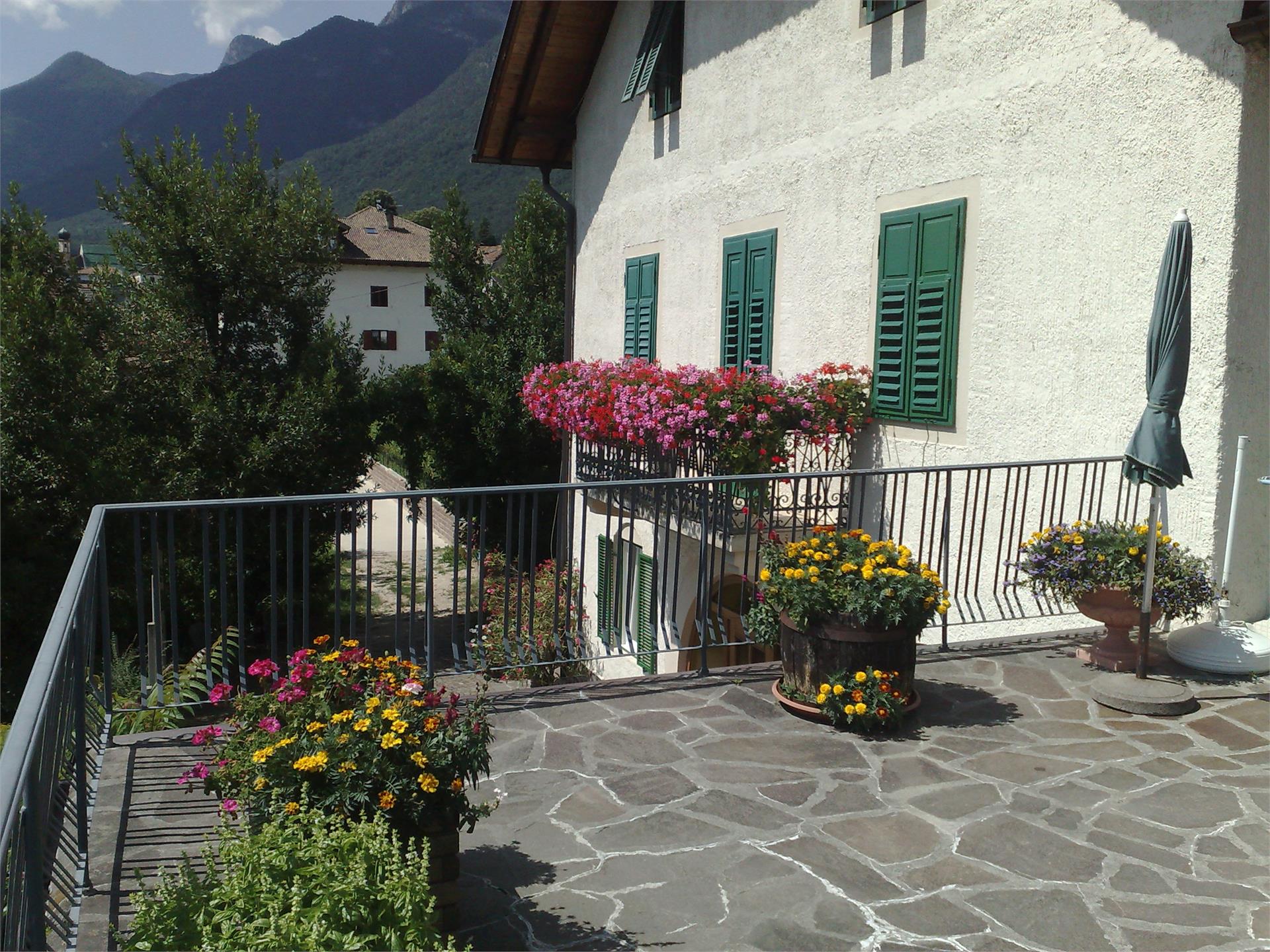 Helene Sepp Kaltern an der Weinstraße/Caldaro sulla Strada del Vino 3 suedtirol.info
