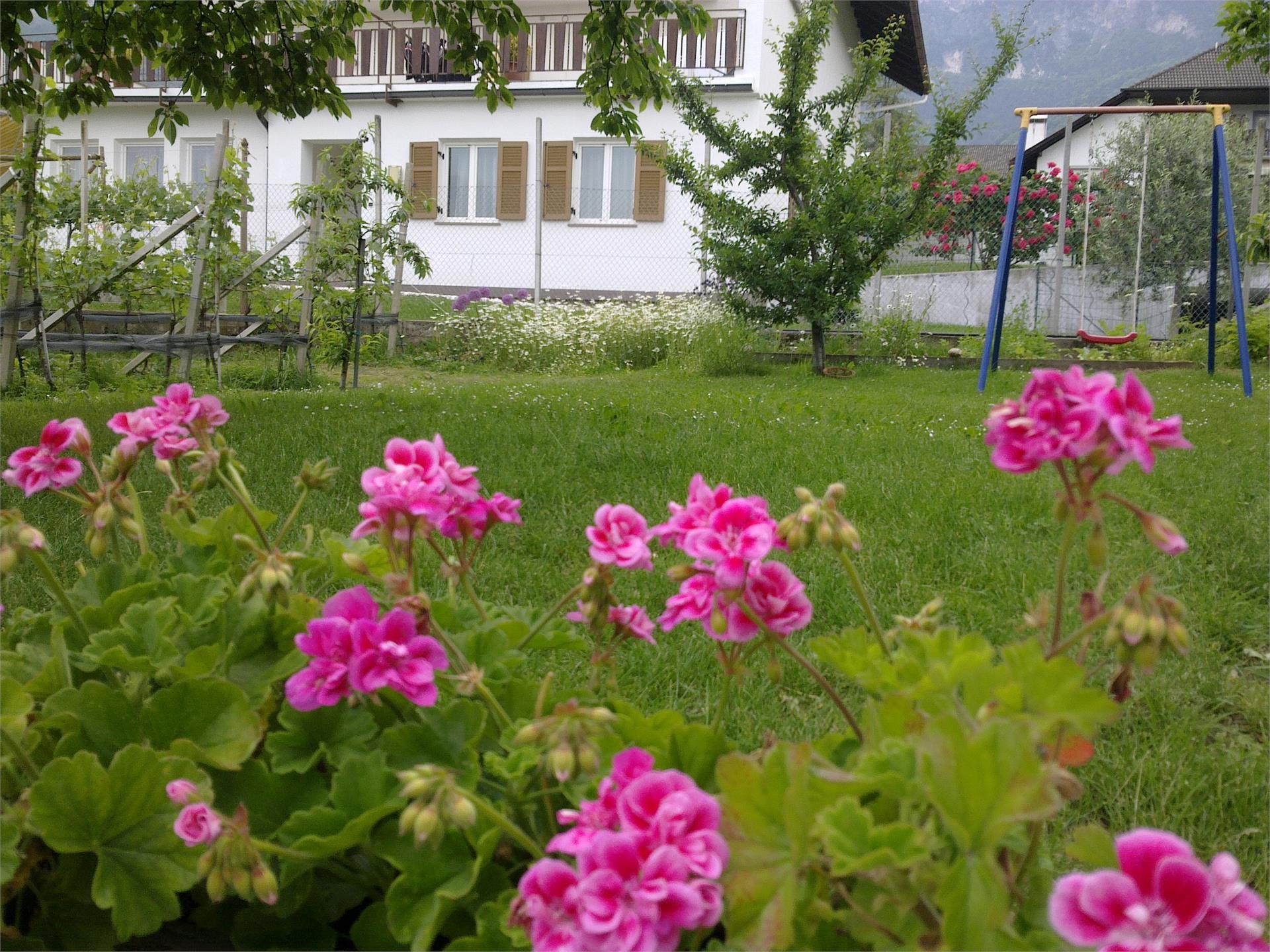 Helene Sepp Kaltern an der Weinstraße/Caldaro sulla Strada del Vino 5 suedtirol.info