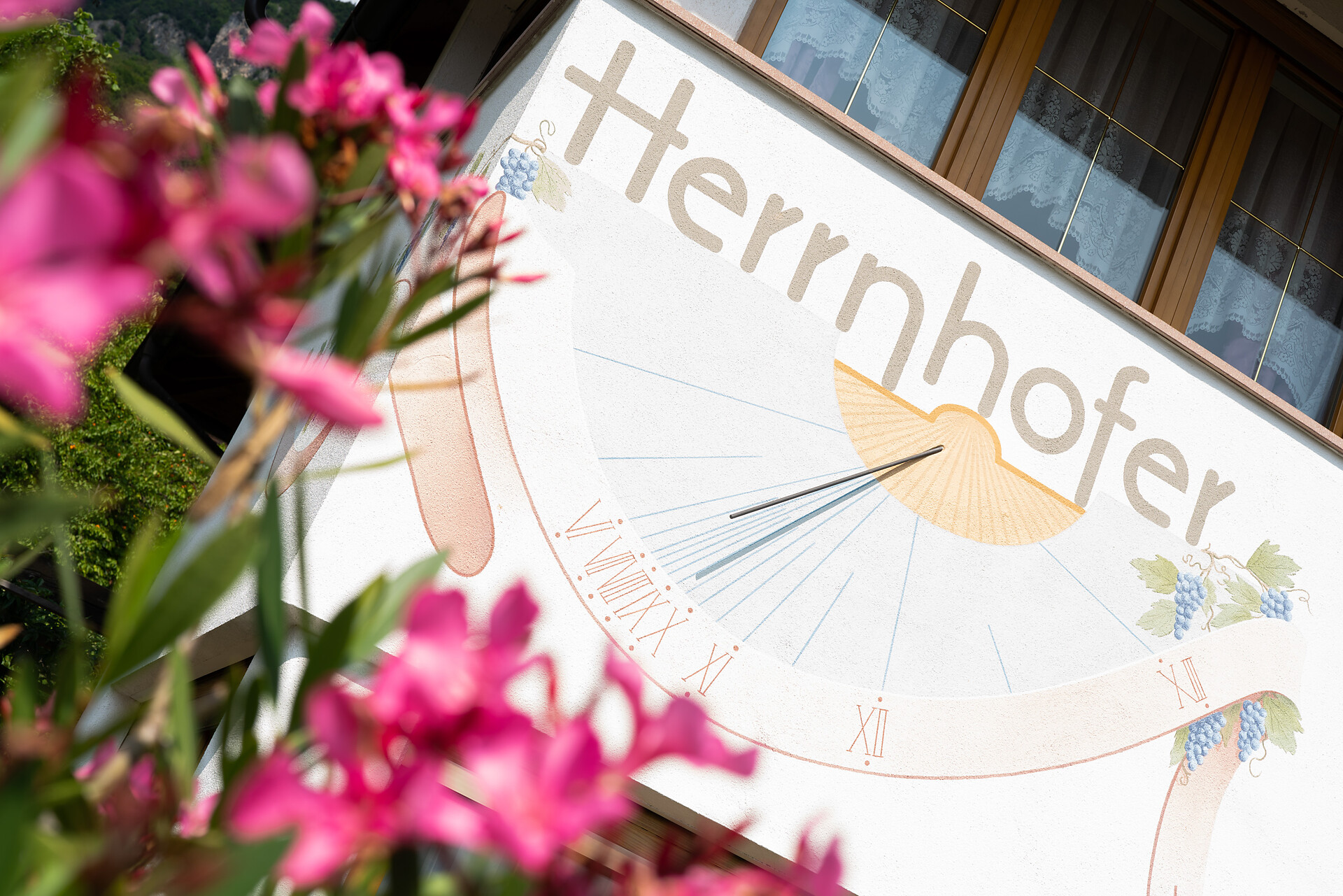 Herrnhofer - Strada del Vino - #4 - suedtirol.info
