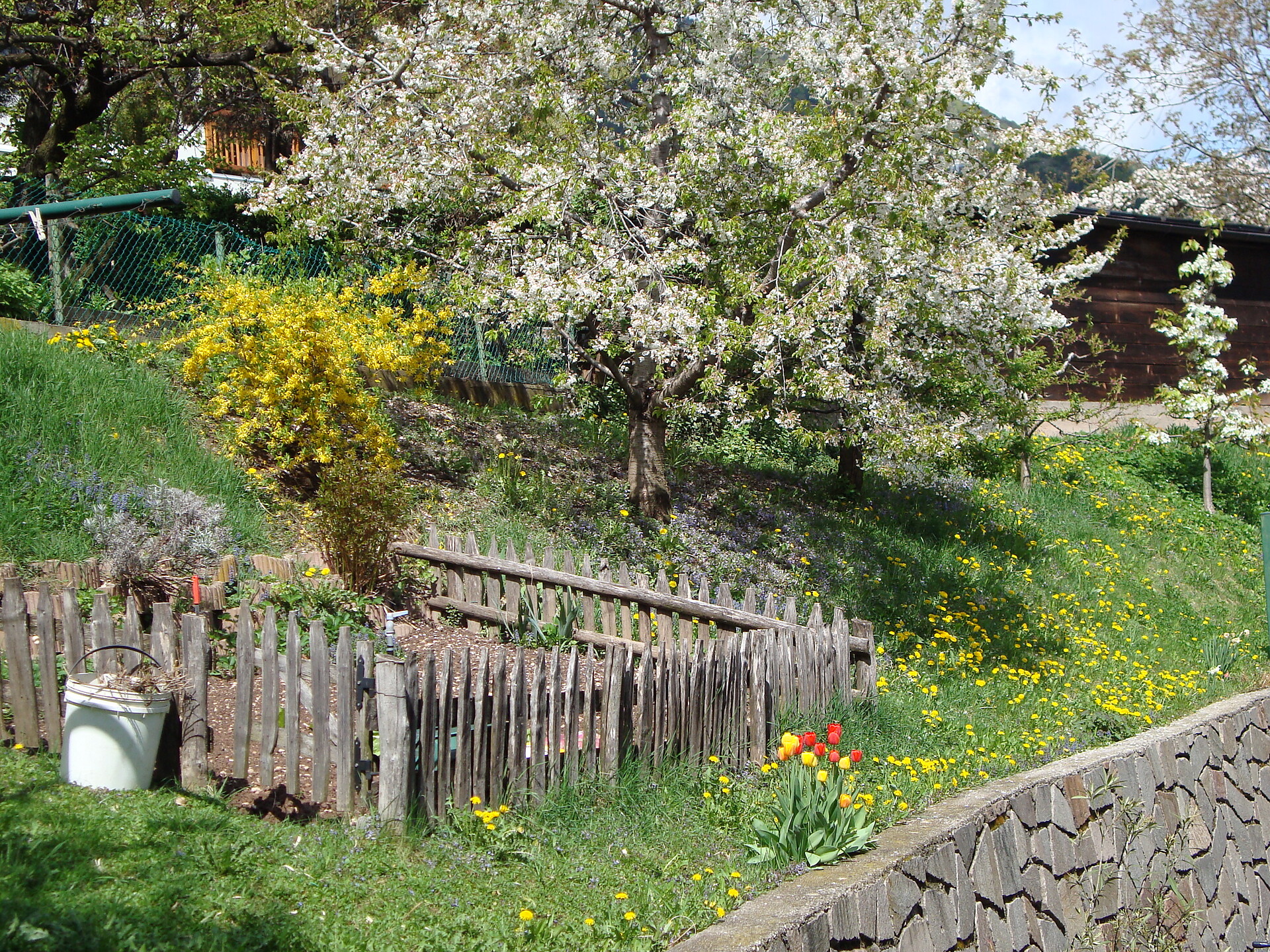 Herrnhofer - Strada del Vino - #21 - suedtirol.info