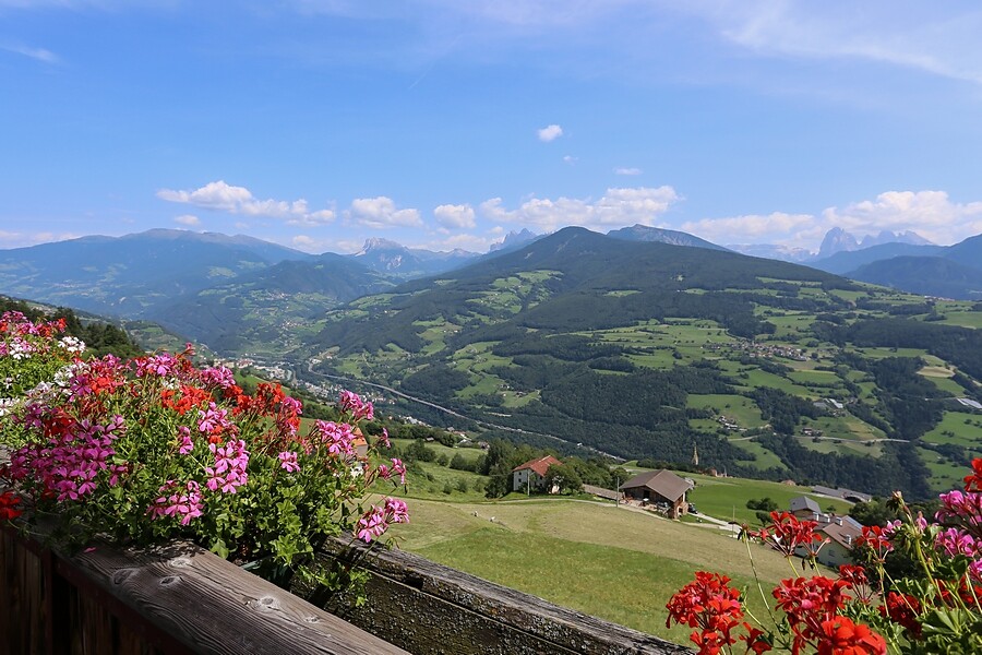 panorama