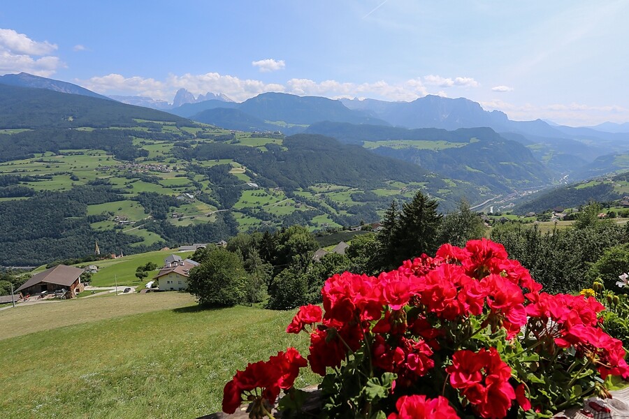 vista