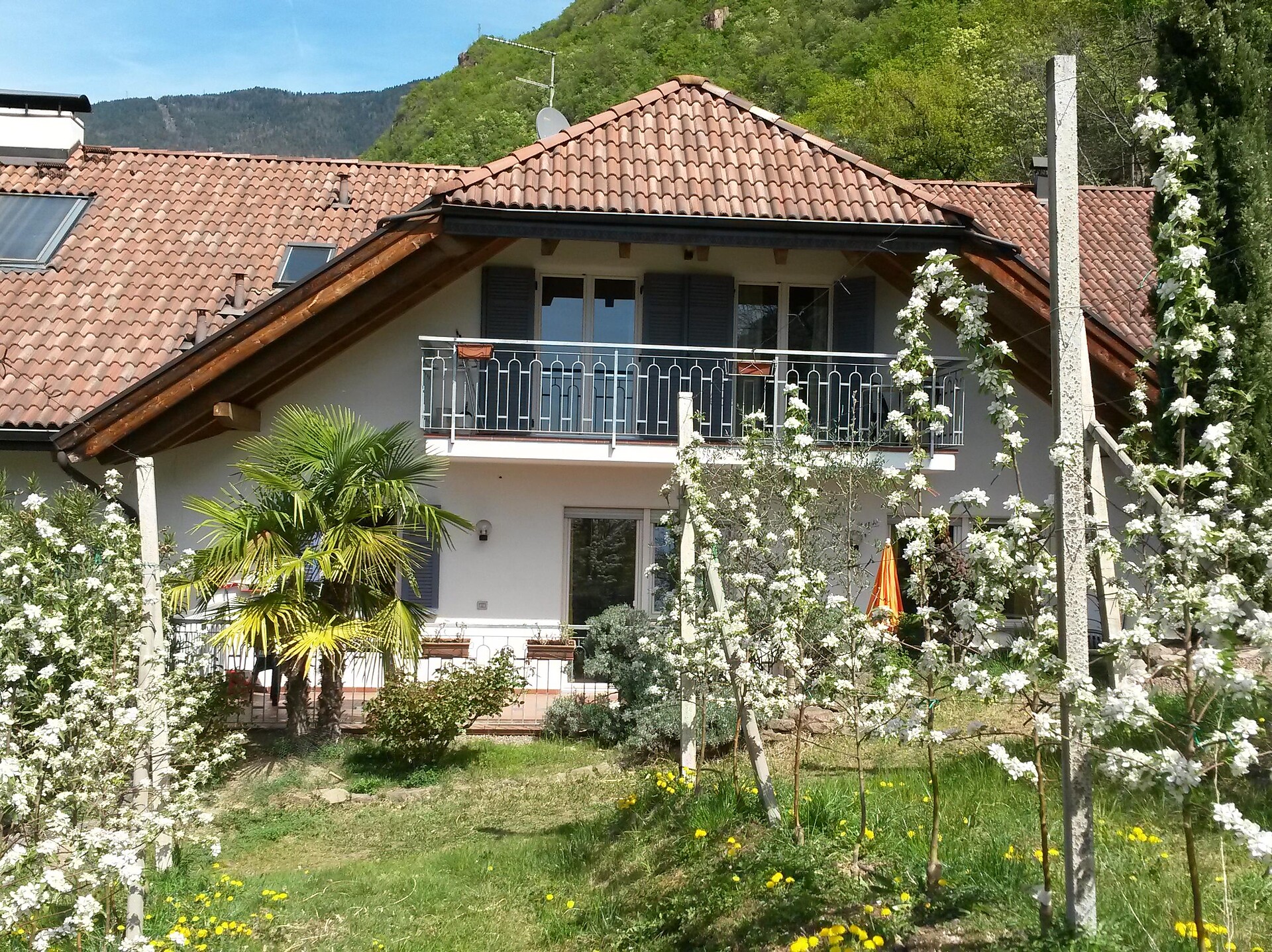 Haus am Hang