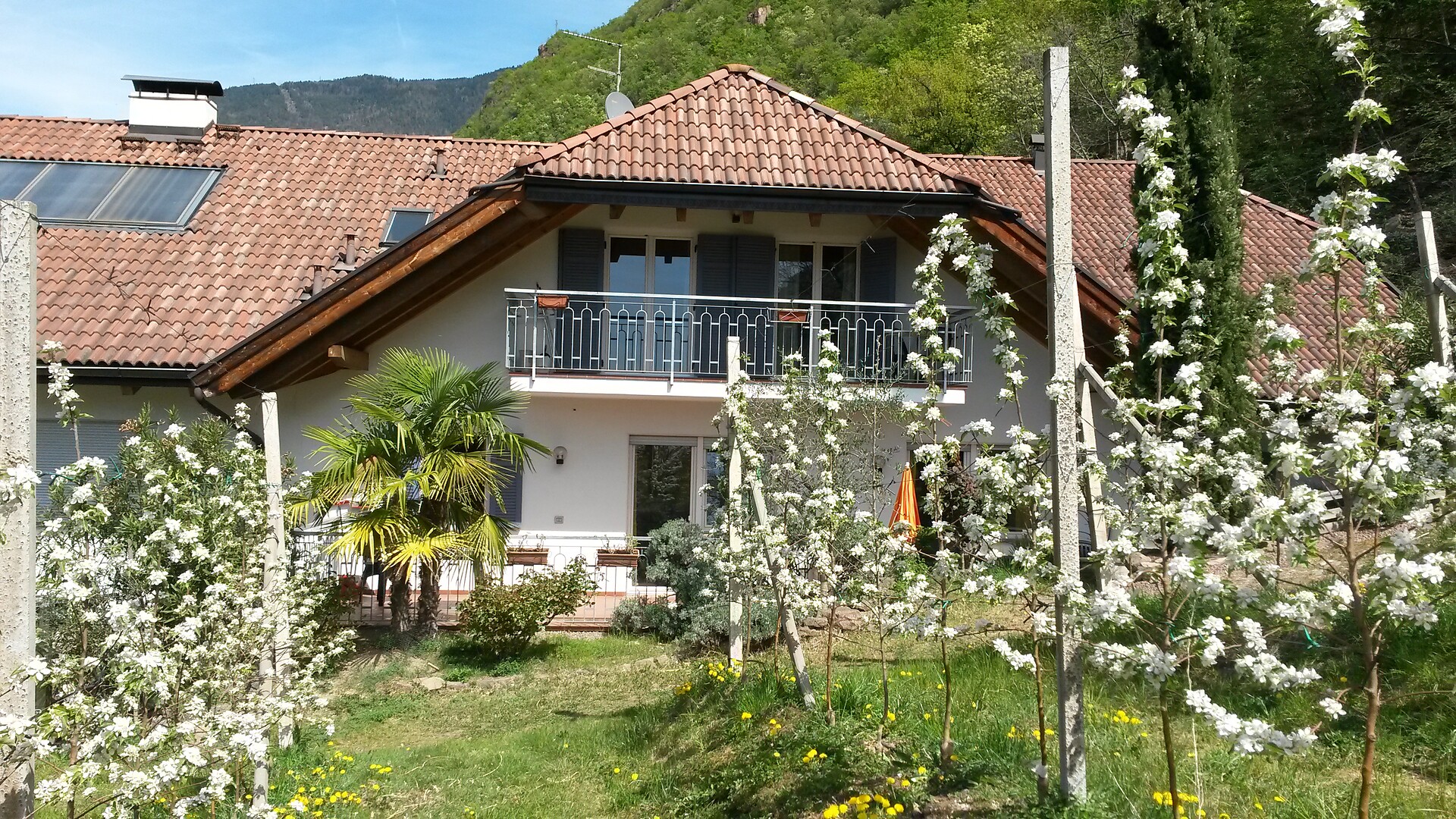 Haus am Hang