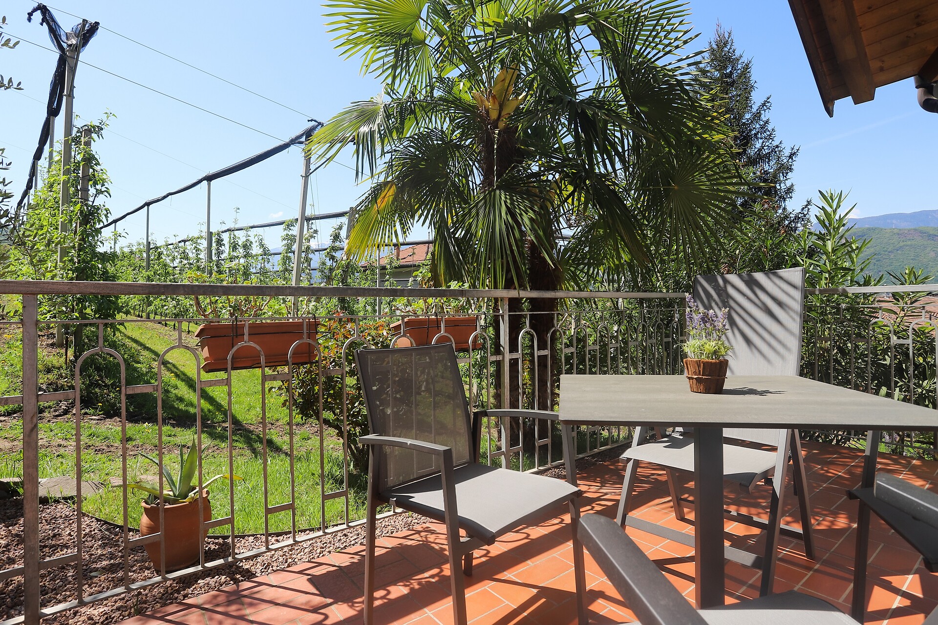 vista dal poggiolo