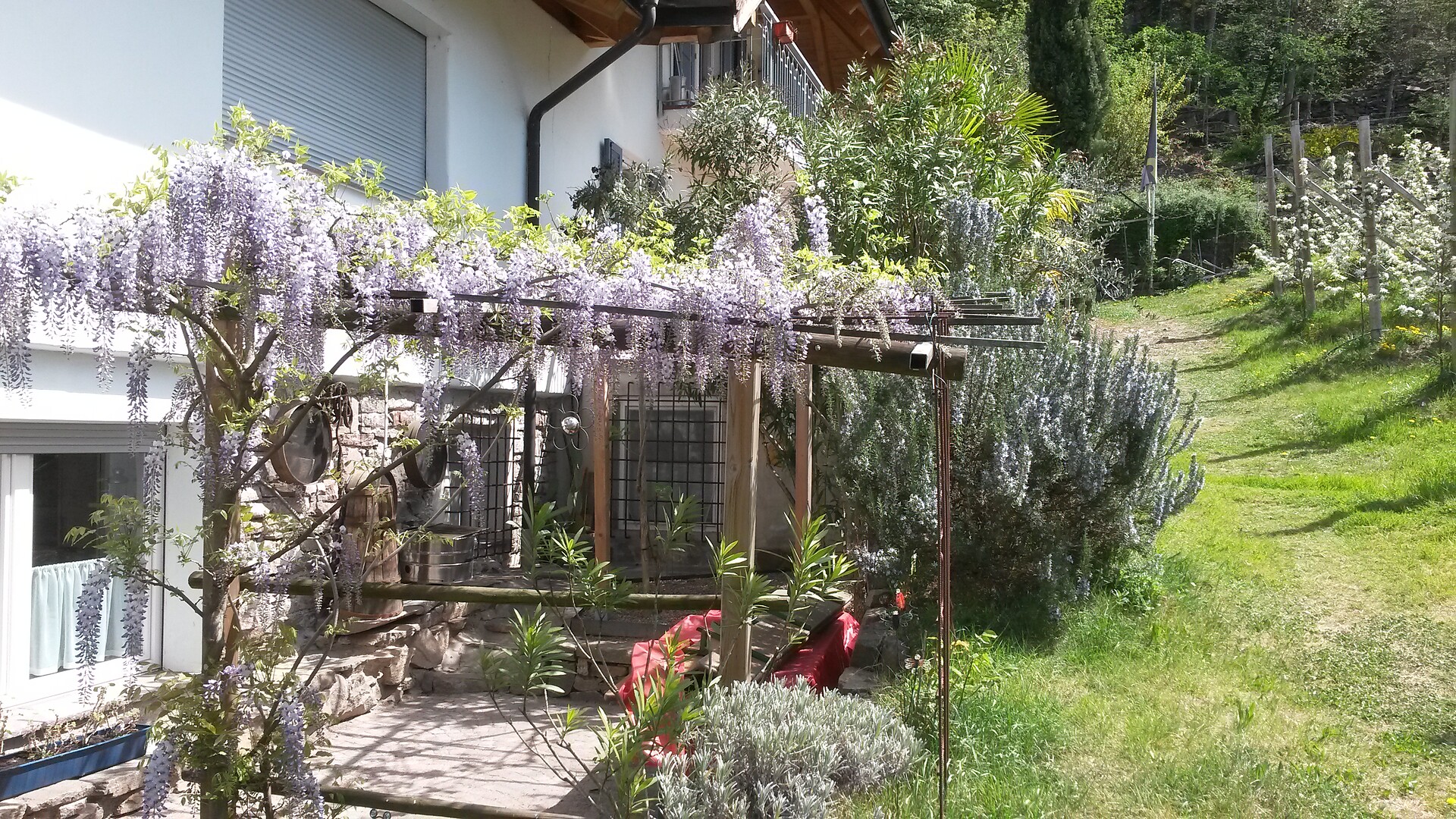 Giardino