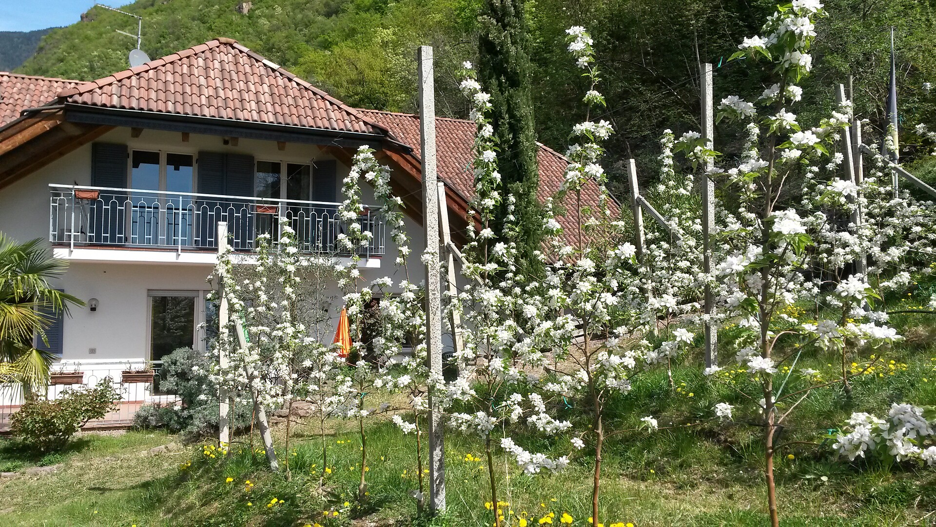 Haus am Hang