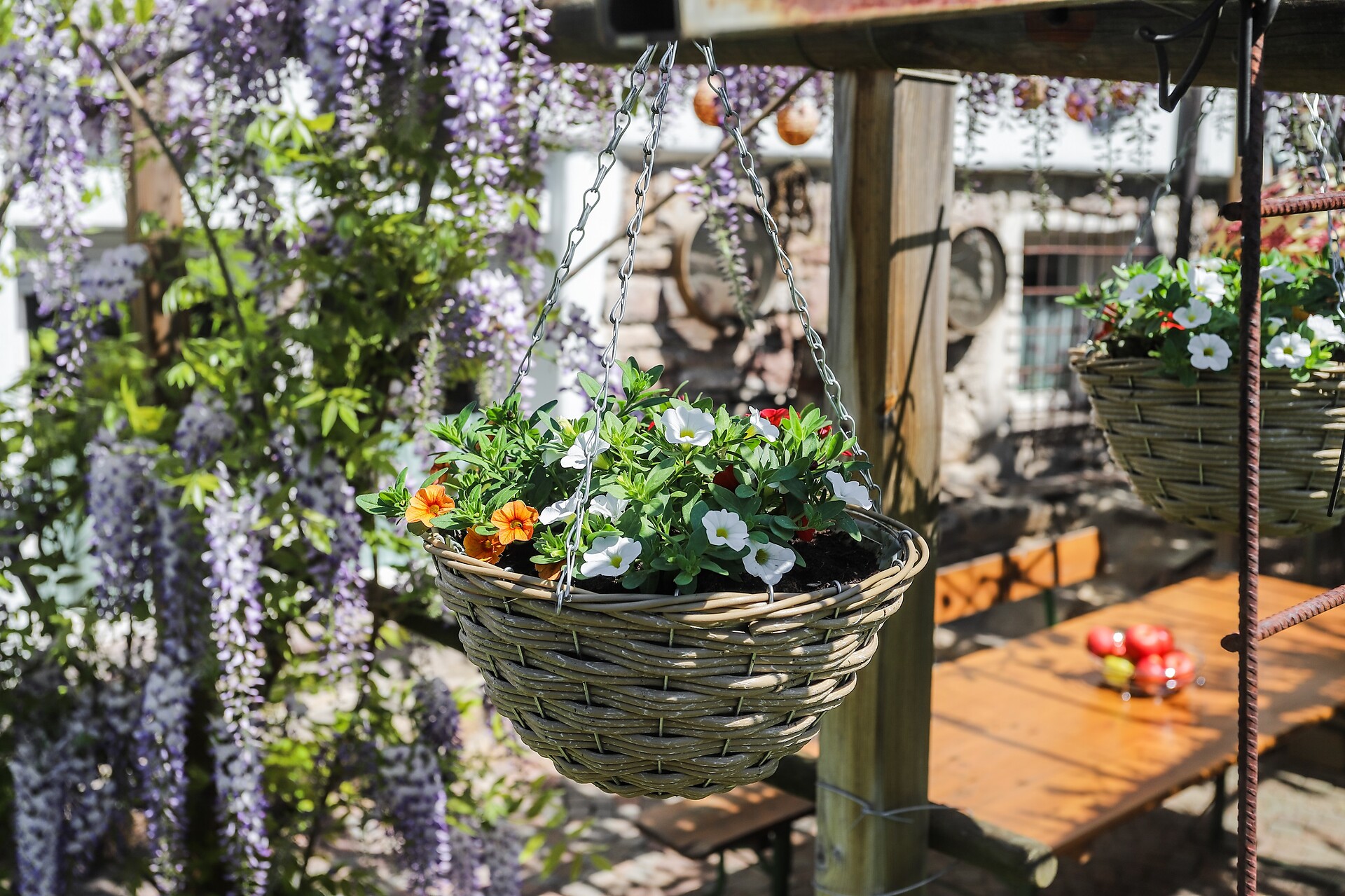 giardino