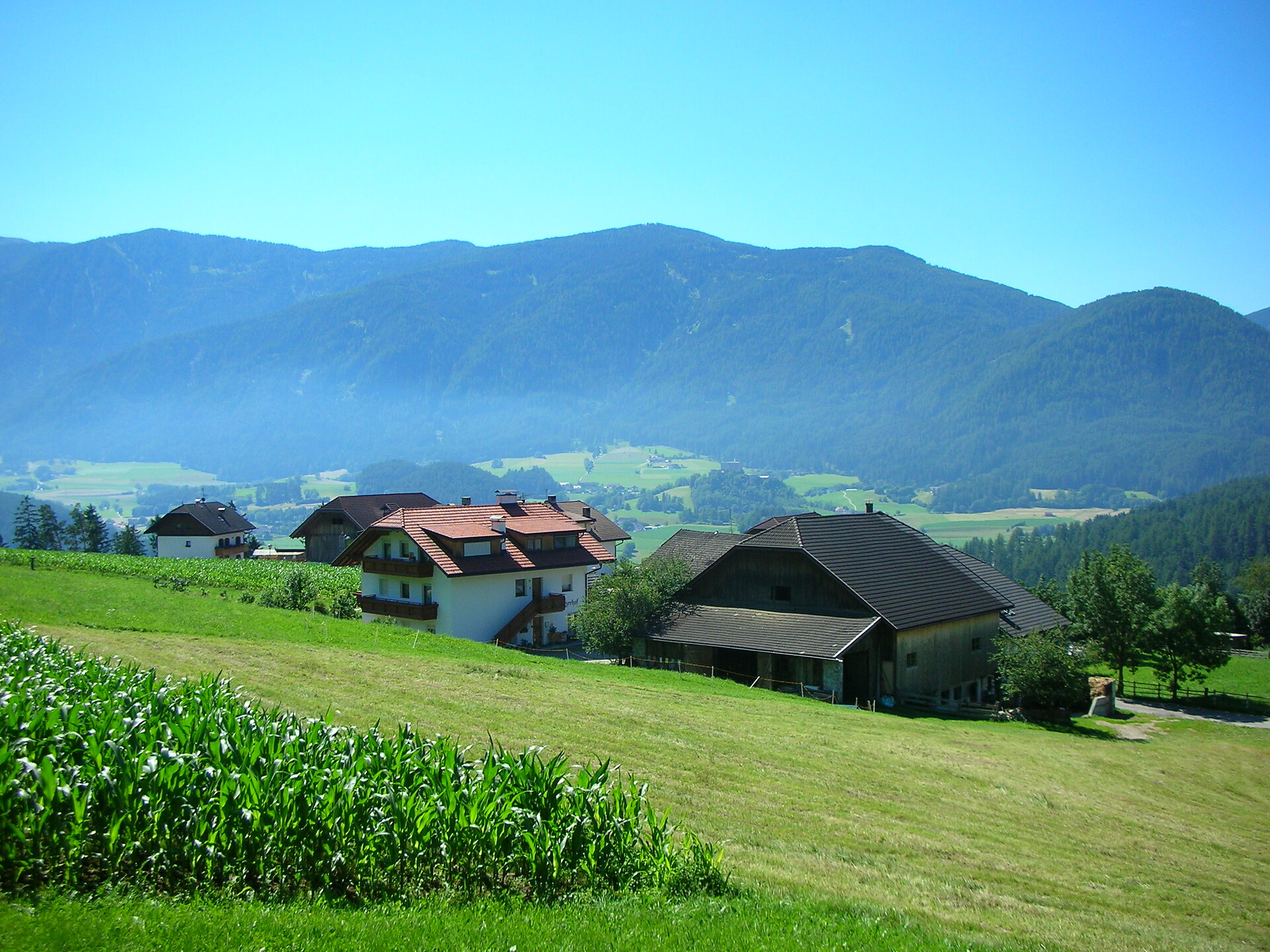 Blick Richtung Kronplatz