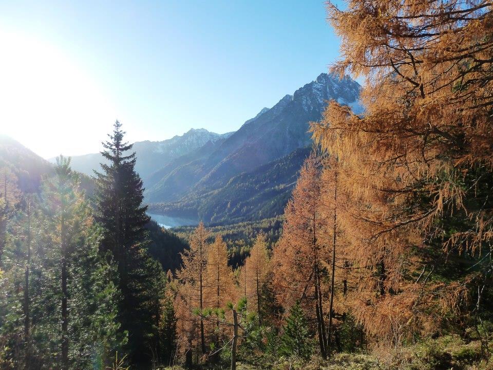 Haus Hellweger Rasen-Antholz 16 suedtirol.info