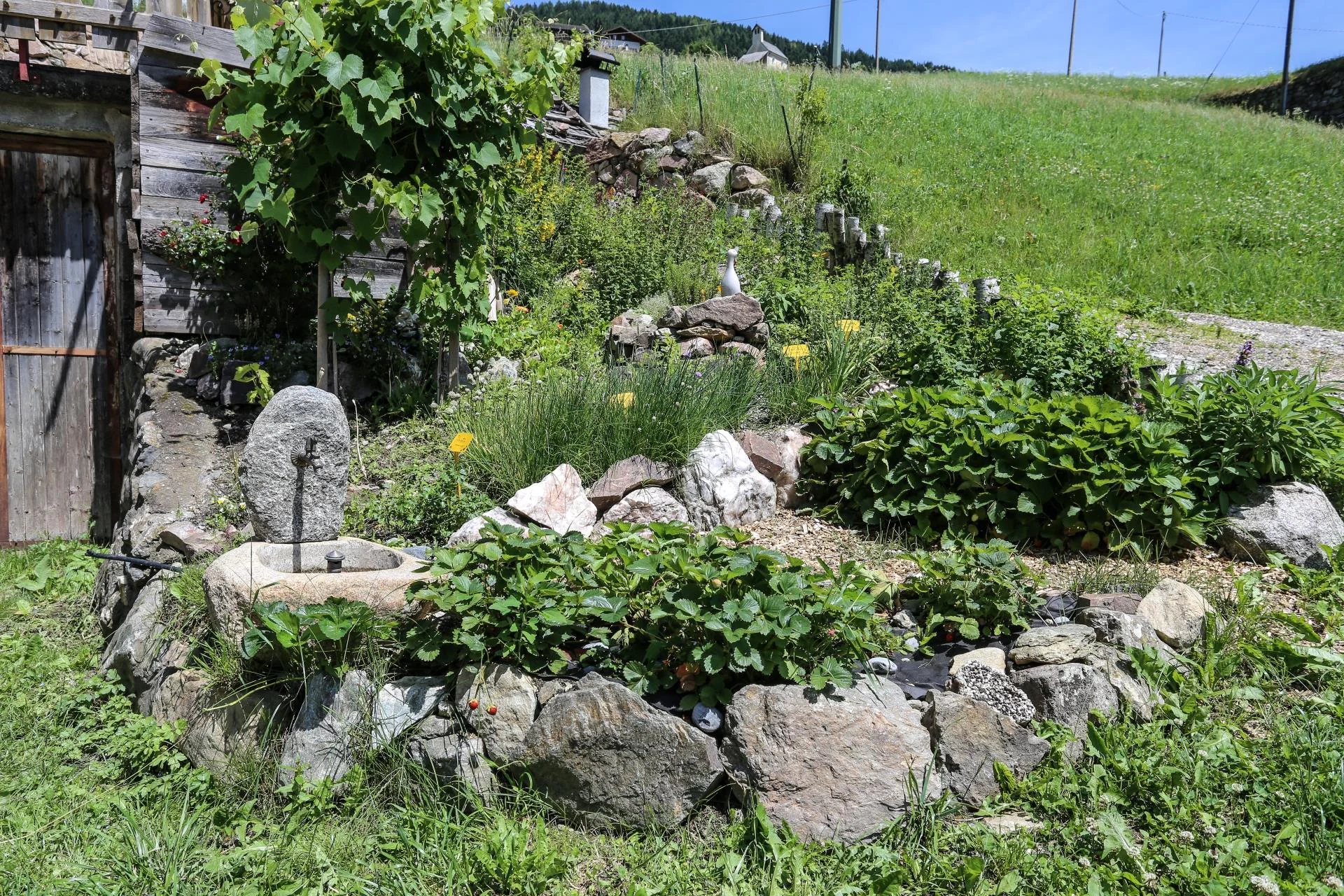 Farmhouse Huberhof Klausen/Chiusa 5 suedtirol.info