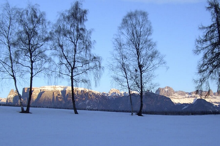Höldhof