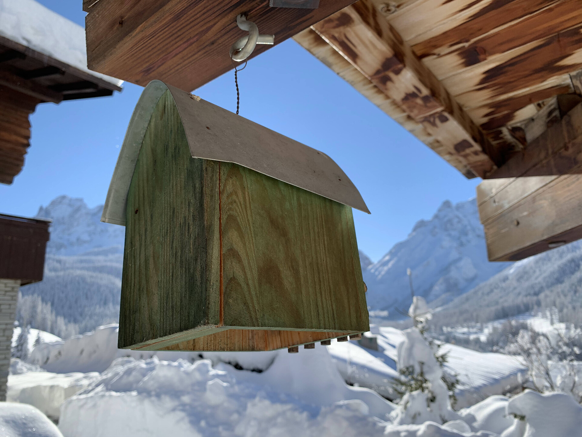 Dependance Nordik