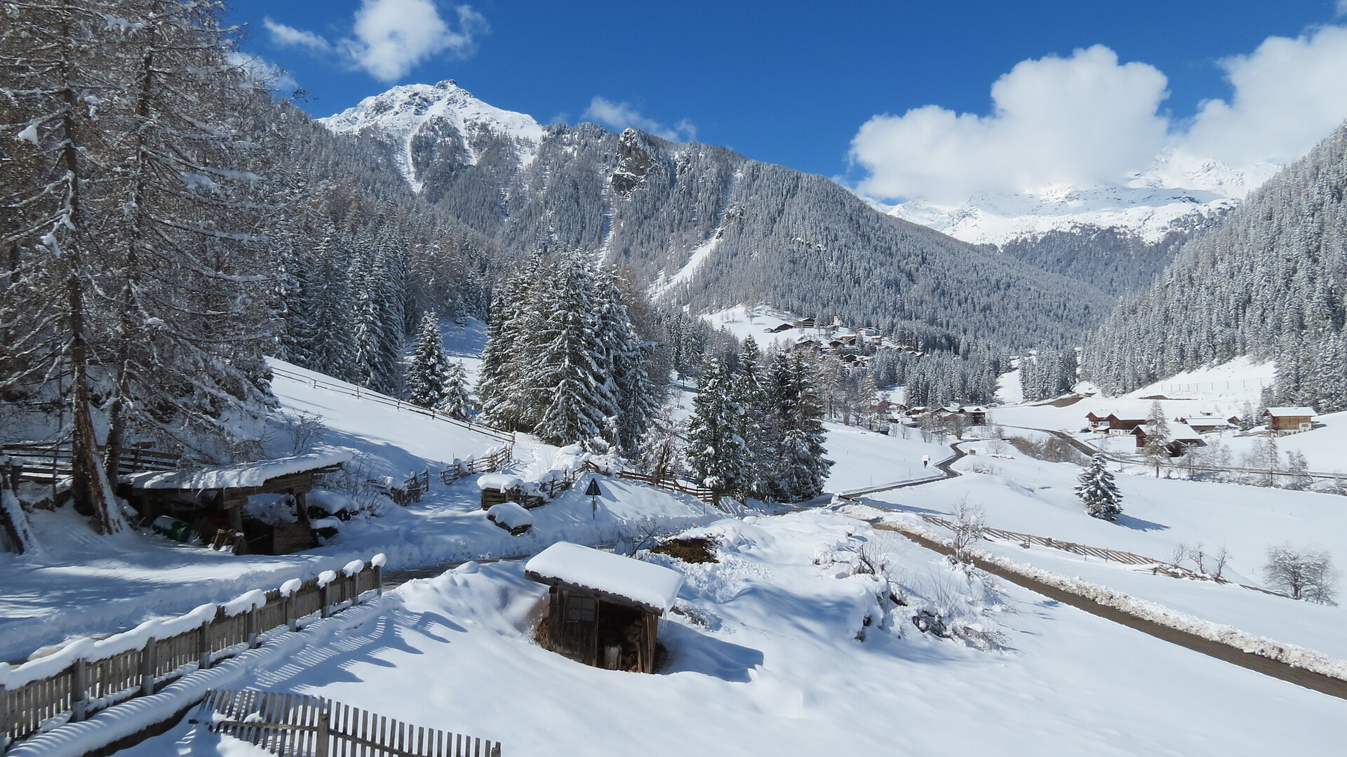 Winter
