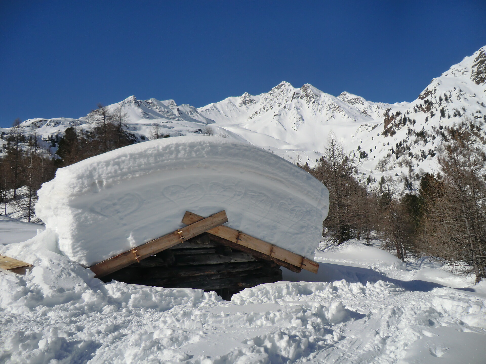 Fischersee winter