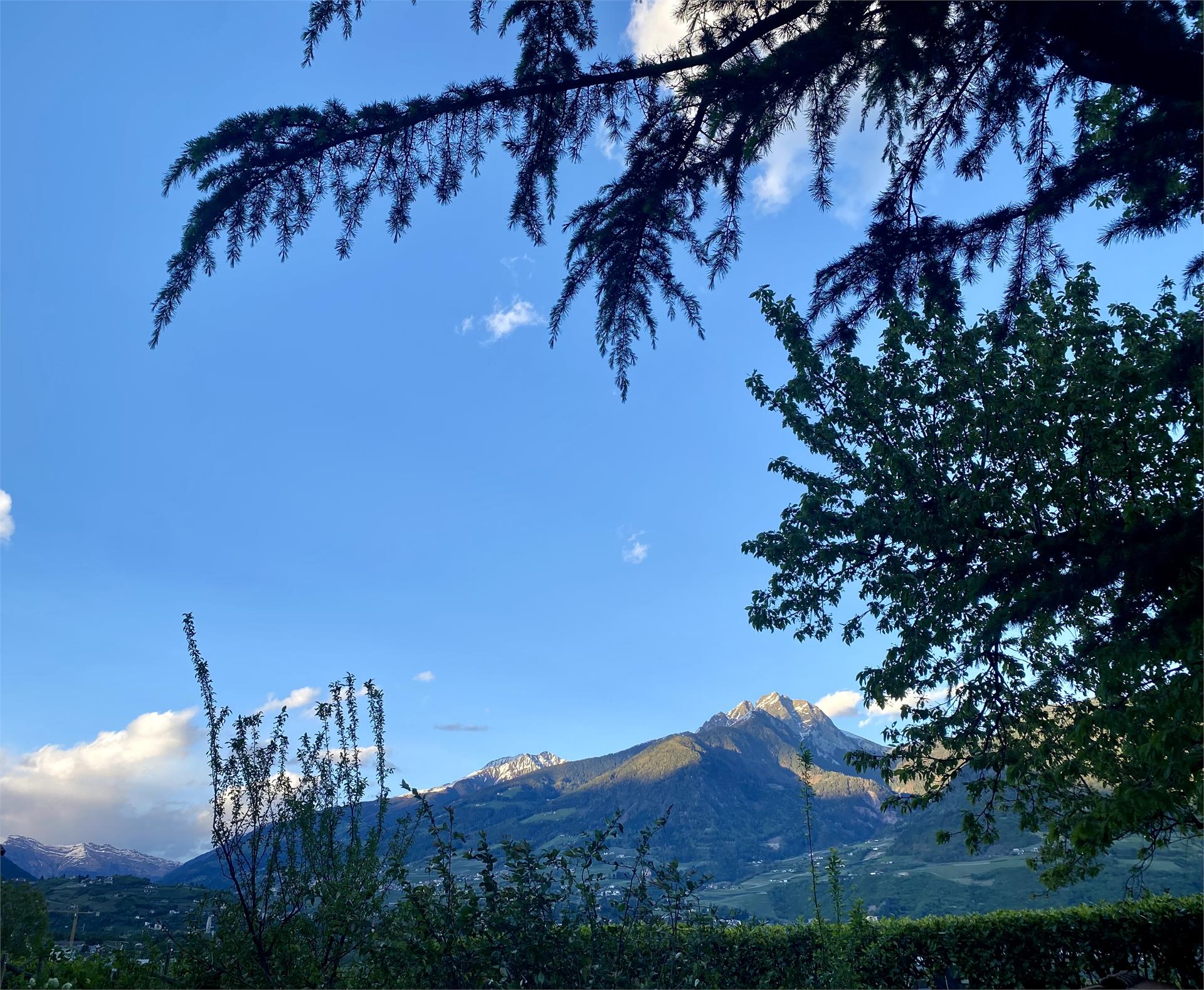 Haus Midi Marling/Marlengo 11 suedtirol.info
