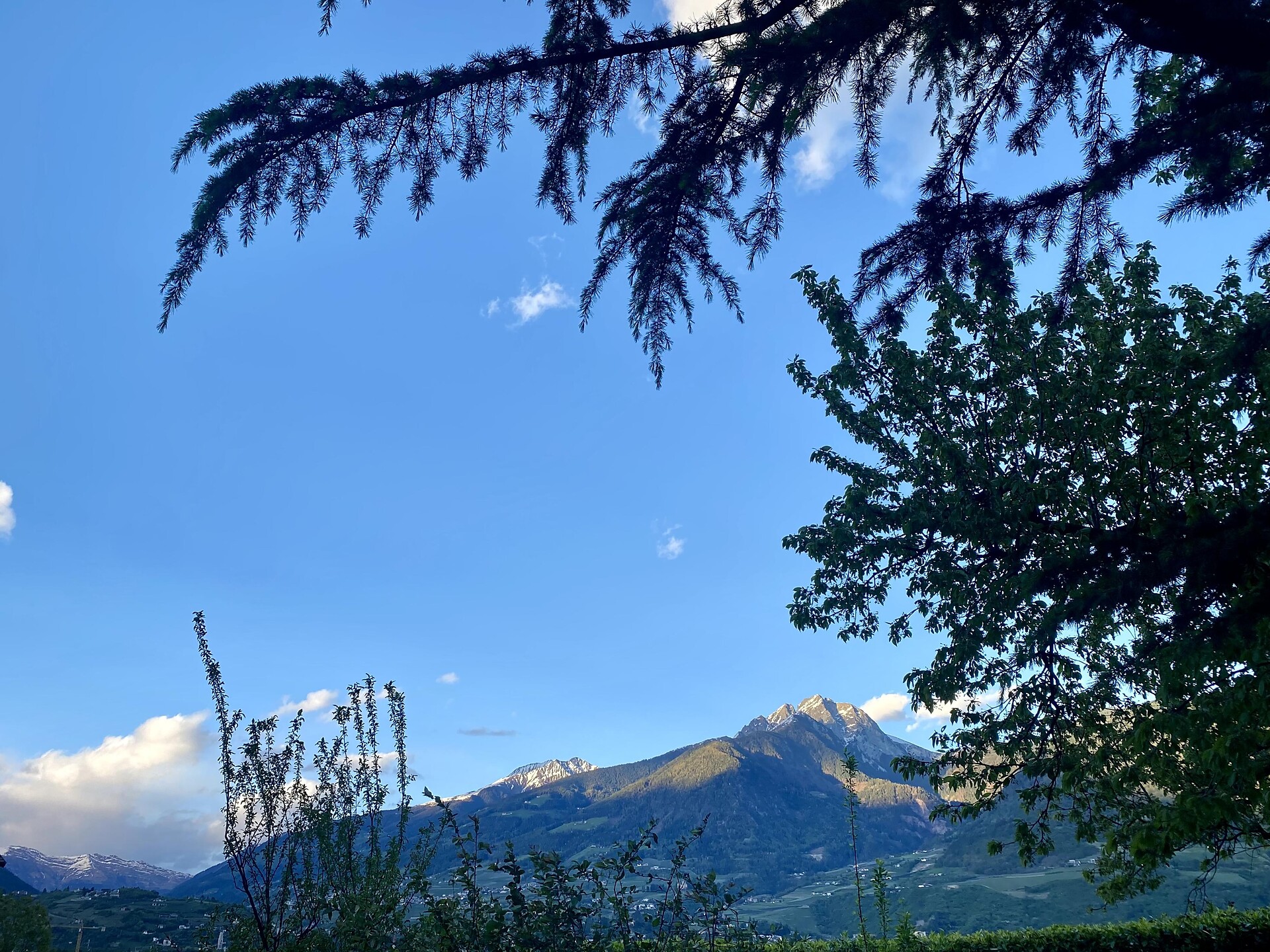 Haus Midi Marling/Marlengo 2 suedtirol.info