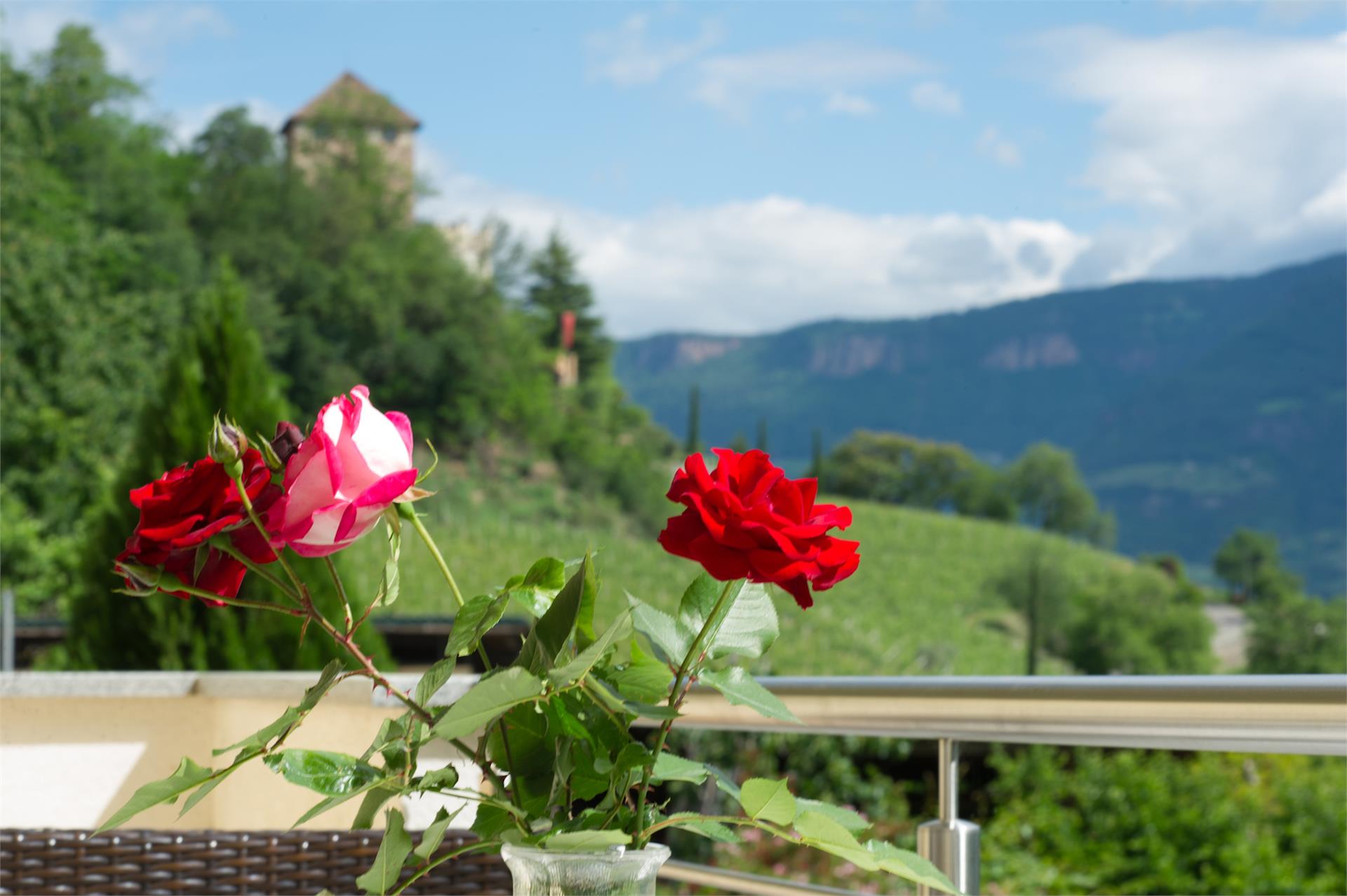Haus Leimegger Eppan an der Weinstraße 7 suedtirol.info
