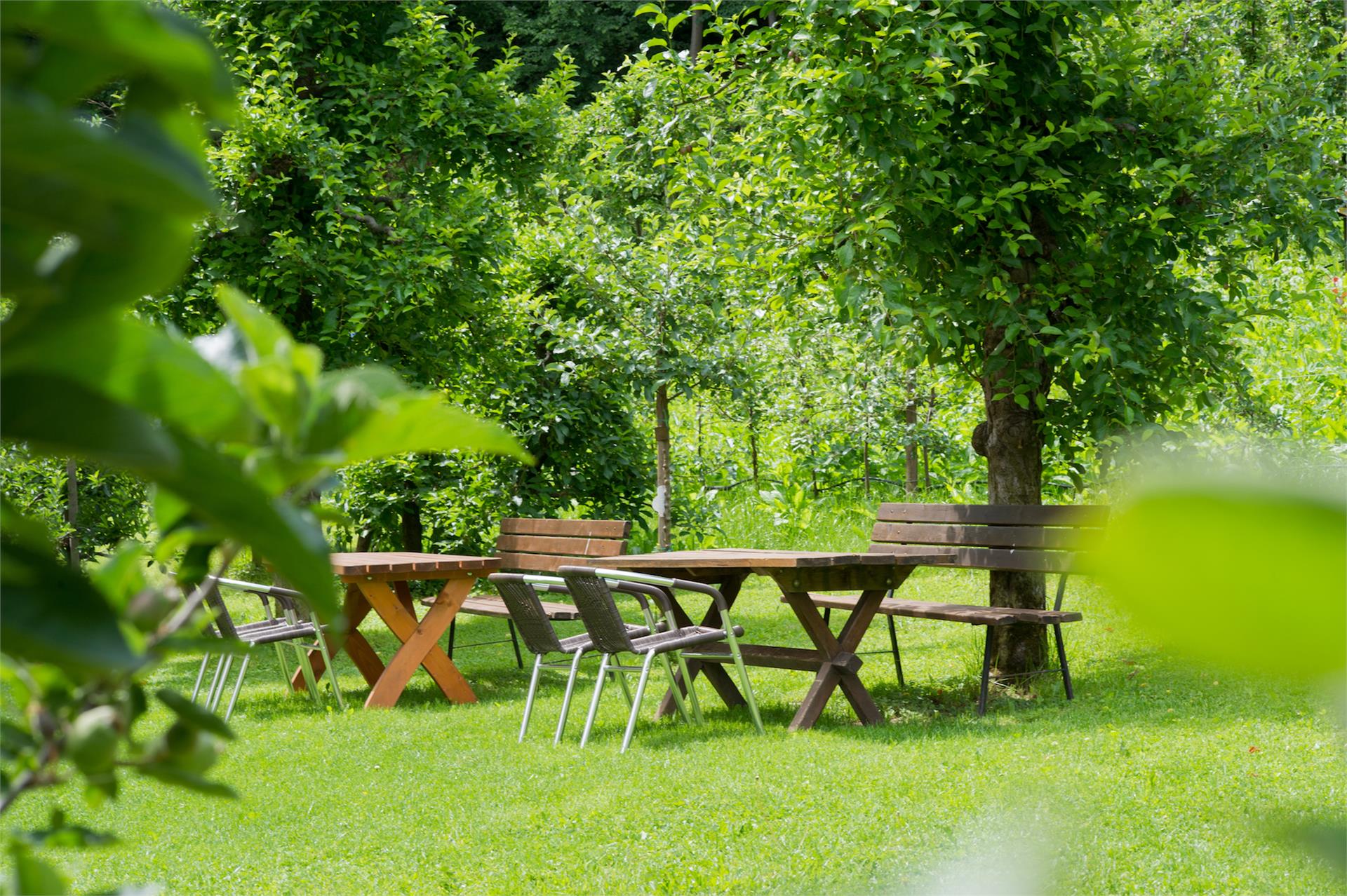 Haus Leimegger Eppan an der Weinstraße 10 suedtirol.info