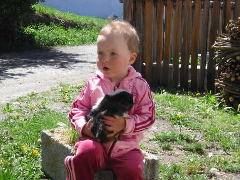 Touching animals